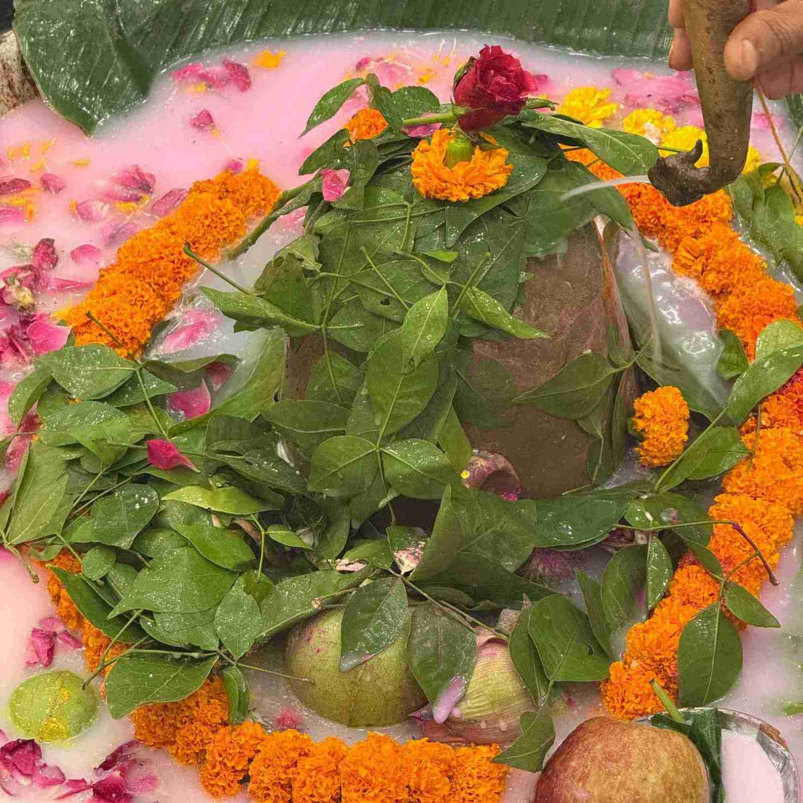 Rudrabhishek Puja Online