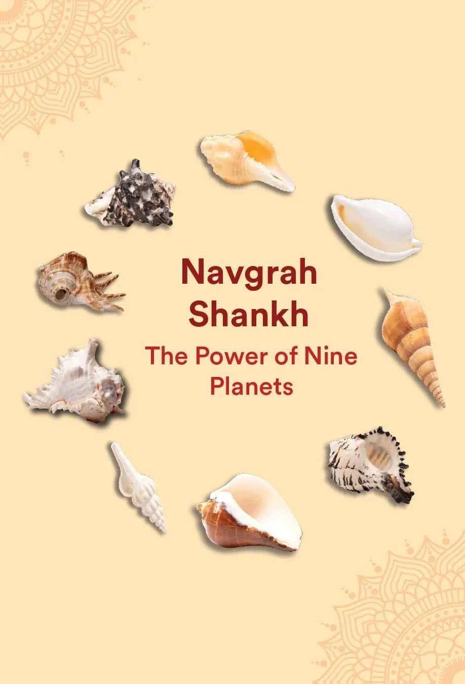 Navgrah Shankh Combo by Pujashree | Sanatana Journey