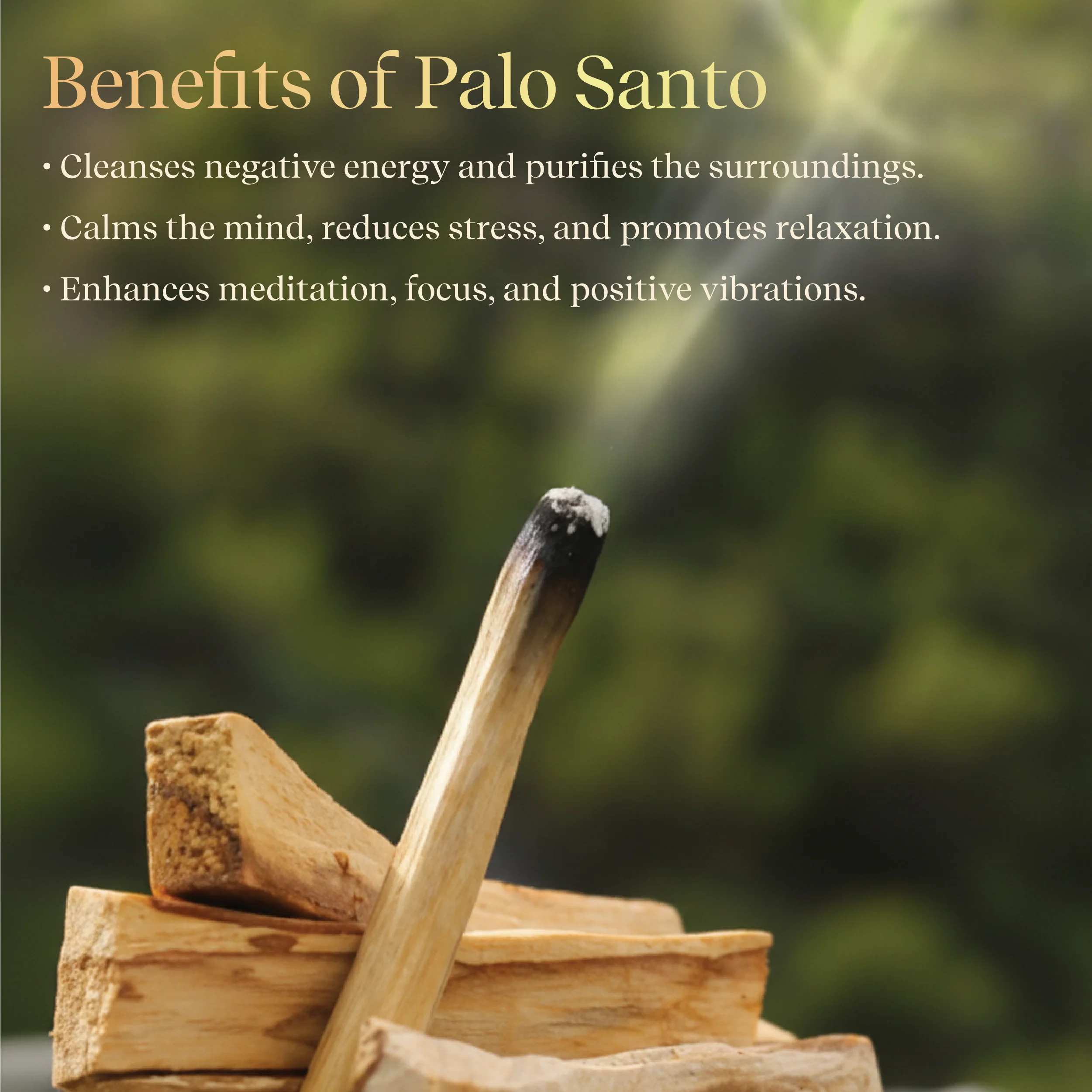 Resin Burner Kit | Wooden Handle Burner with Palo Santo, Cedar Resin & Charcoal by Pujashree | Sanatana Journey