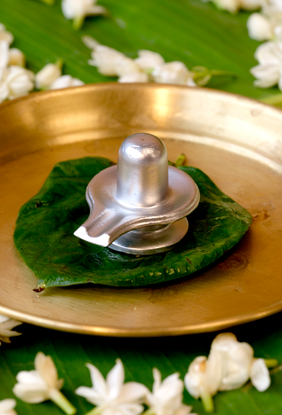 Ashtsanskar Parad Shivling – Ritually Energized with 8 Vedic Rituals for Peace, Protection & Prosperity
