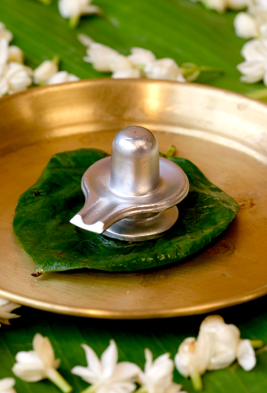 Ashtsanskar Parad Shivling – Ritually Energized with 8 Vedic Rituals for Peace by Pujashree | Sanatana Journey