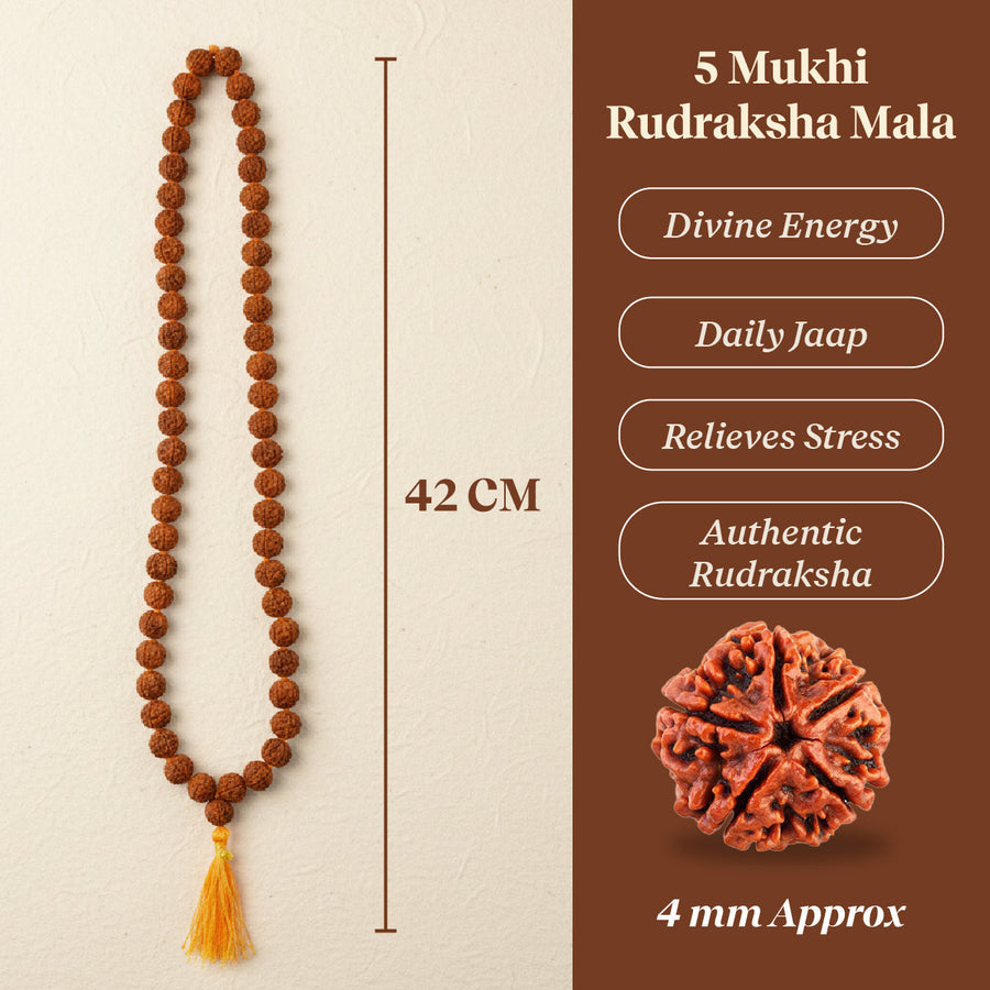 Panchmukhi Rudraksha Mala (4MM) – For Deep Meditation & Spiritual Power by Pujashree | Sanatana Journey