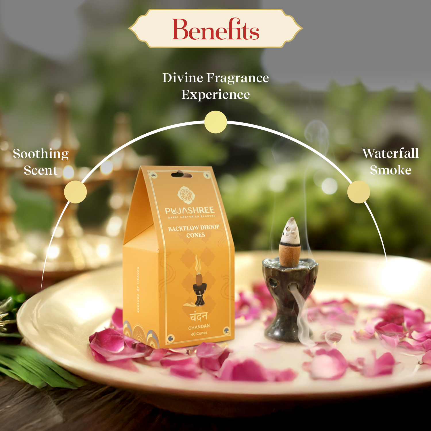 Backflow Dhoop Cones – Sandalwood by Pujashree | Sanatana Journey