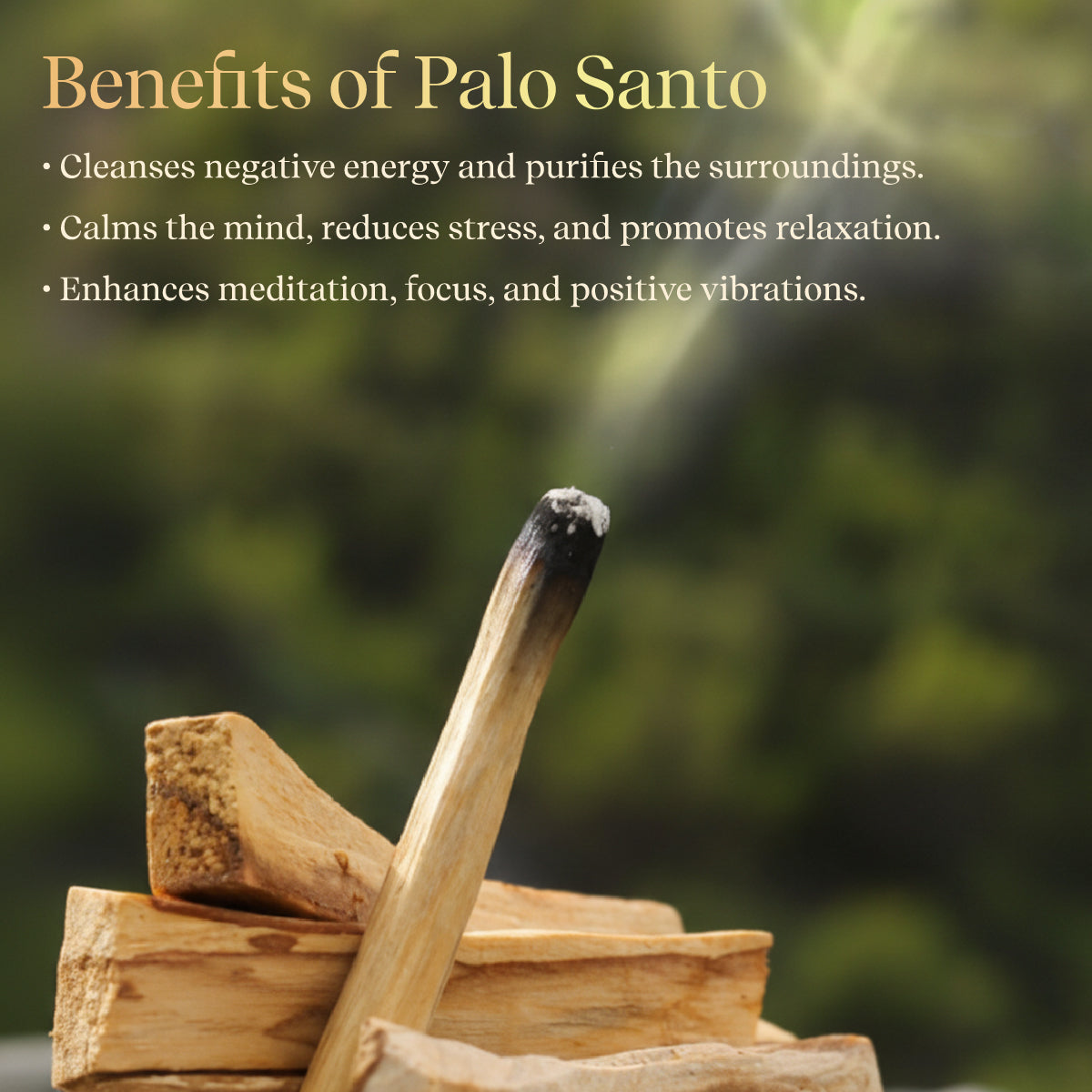 Resin Incense – Palo Santo & Cedar by Pujashree | Sanatana Journey