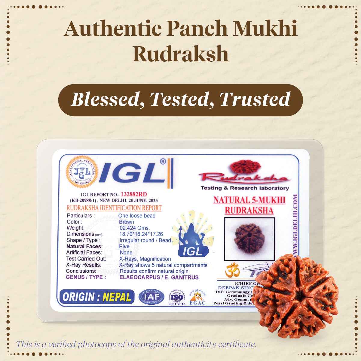 Panchmukhi Rudraksha Single Bead – For Deep Meditation & Spiritual Power