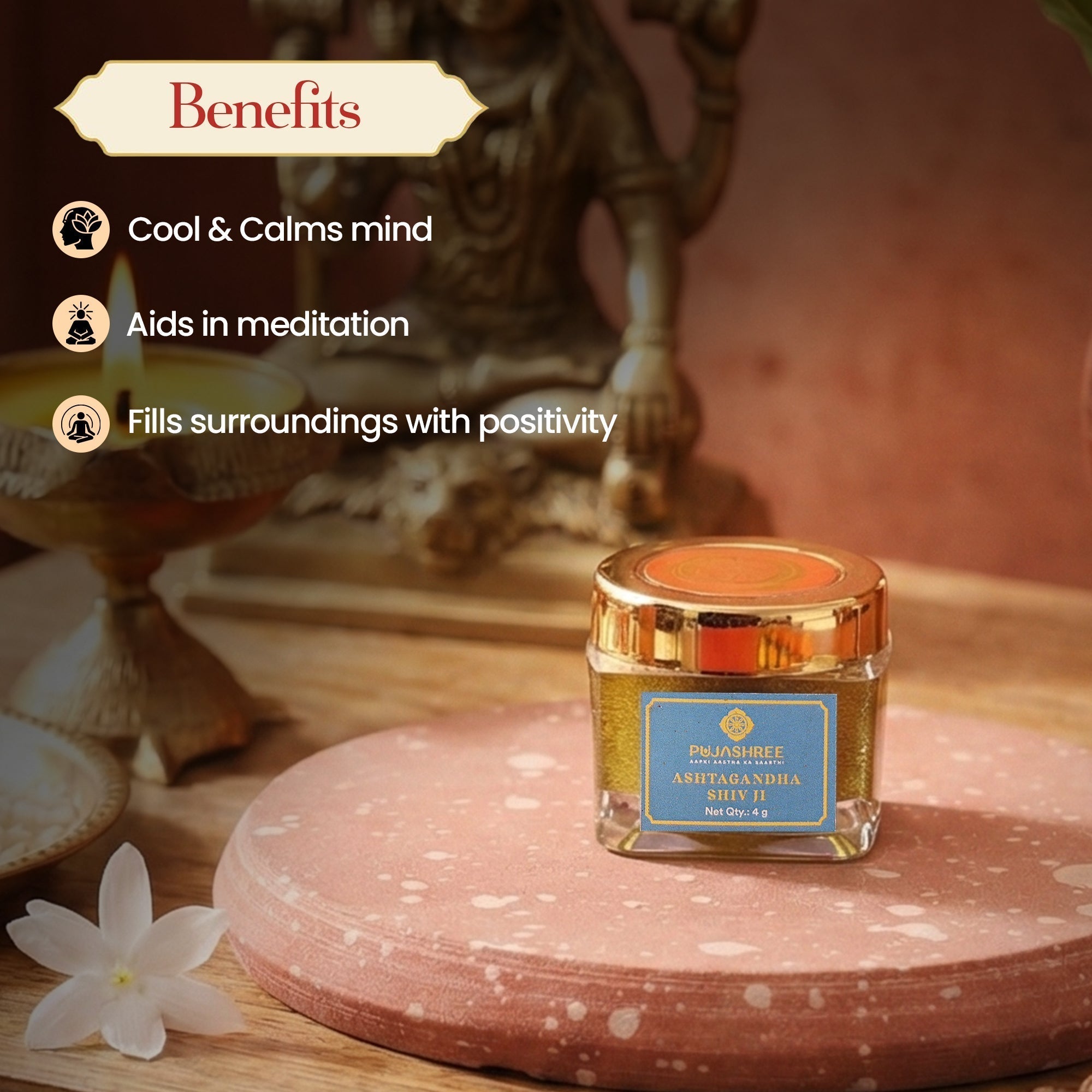 Ashtagandha Shiv Ji Tilak – Sacred Scent of Devotion, Purity & Blessings by Pujashree | Sanatana Journey