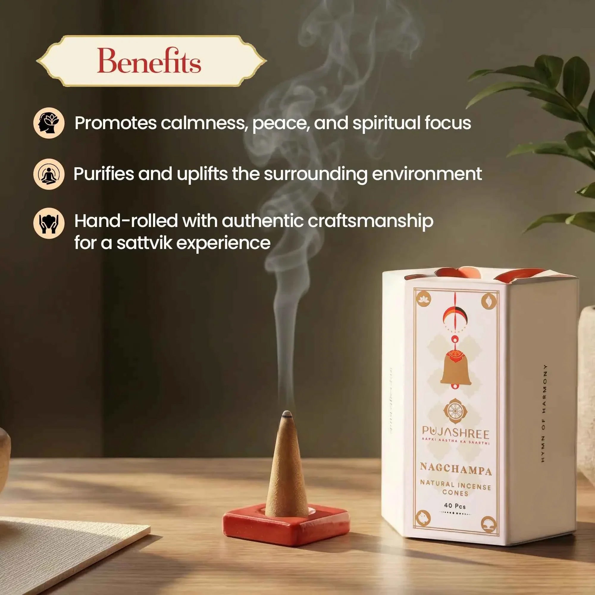 Natural Incense Cones – The Mystical Nagchampa Fragrance