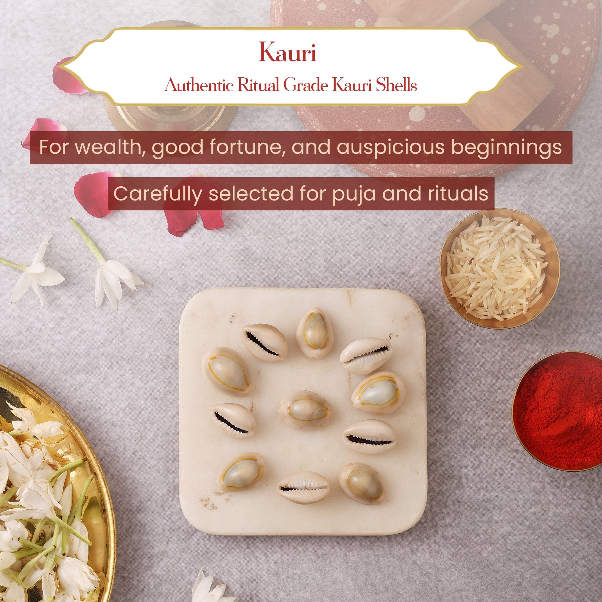 Pavitr Kauri Combo – Kauri & Laxmi Kauri for Wealth & Aarti Rituals by Pujashree | Sanatana Journey