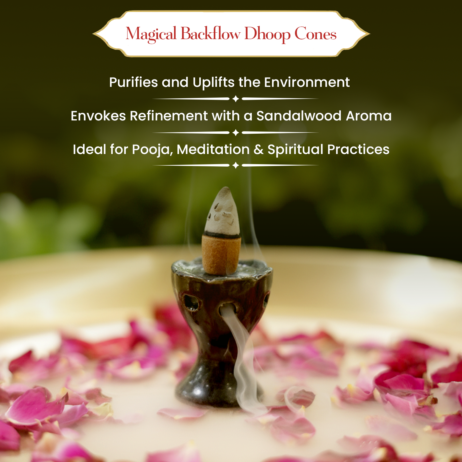 Backflow Dhoop Cones – Sandalwood by Pujashree | Sanatana Journey