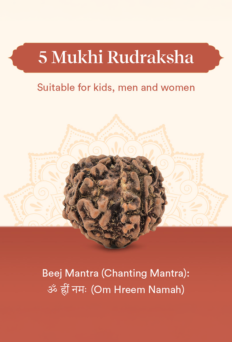 Panchmukhi Rudraksha Single Bead – For Deep Meditation & Spiritual Power