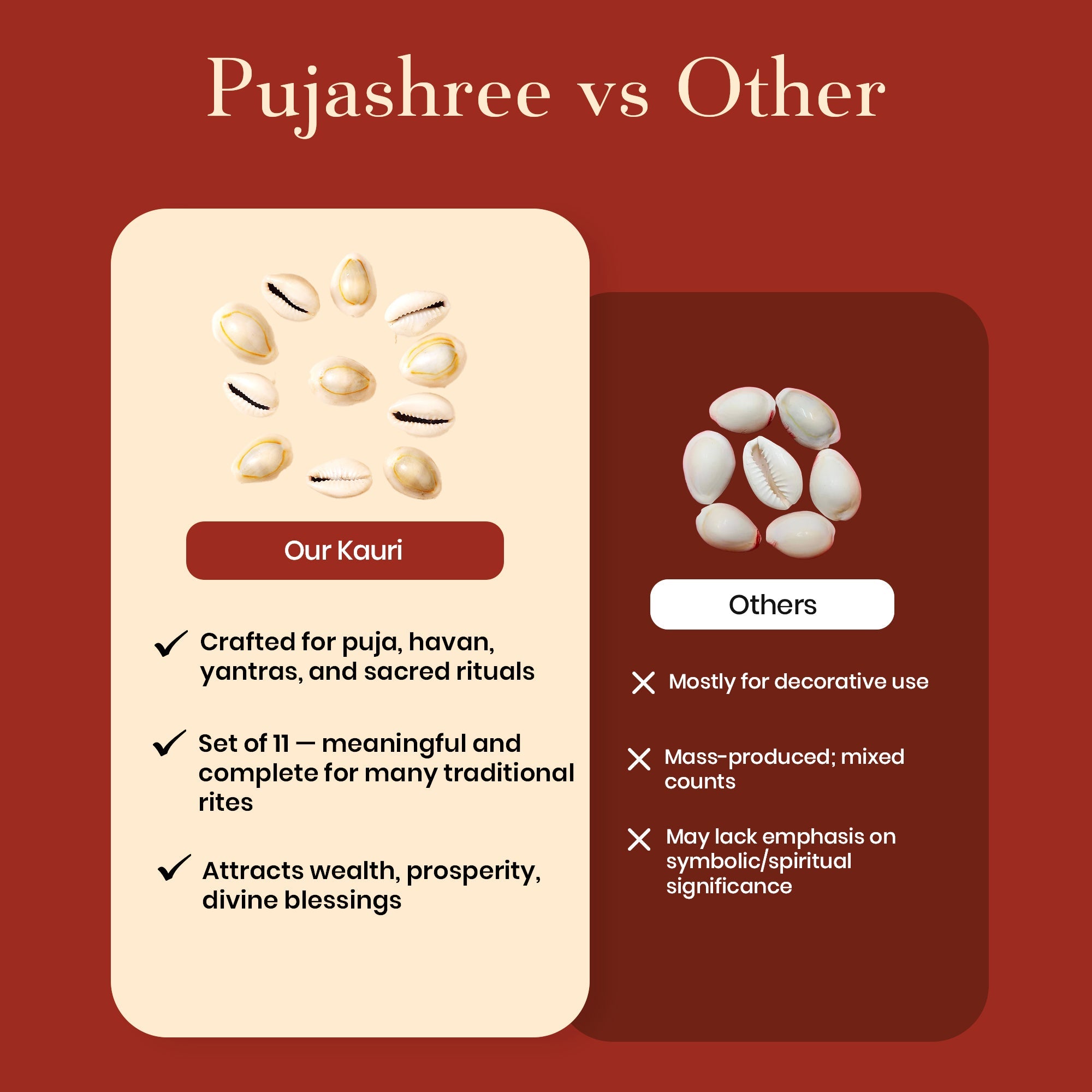 Pavitr Kauri Combo – Kauri & Laxmi Kauri for Wealth & Aarti Rituals by Pujashree | Sanatana Journey