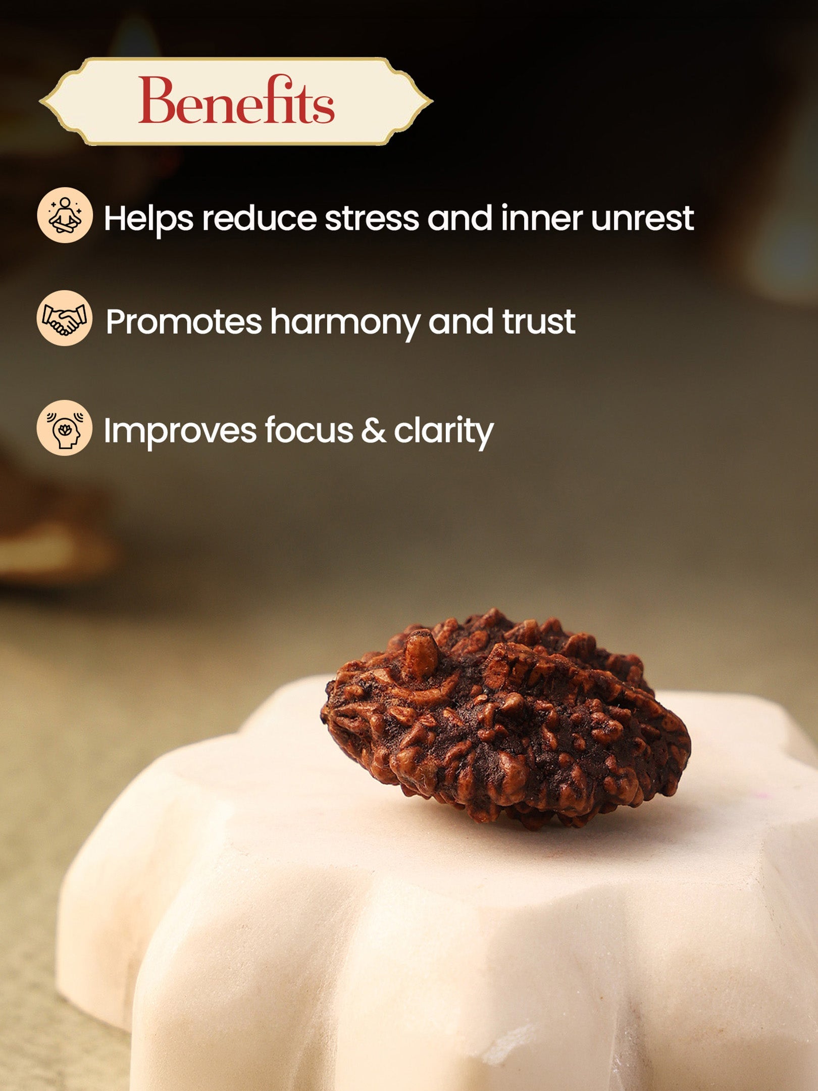 2 Mukhi Shivling Rudraksha for Protection, Peace & Spiritual Growth by Pujashree | Sanatana Journey