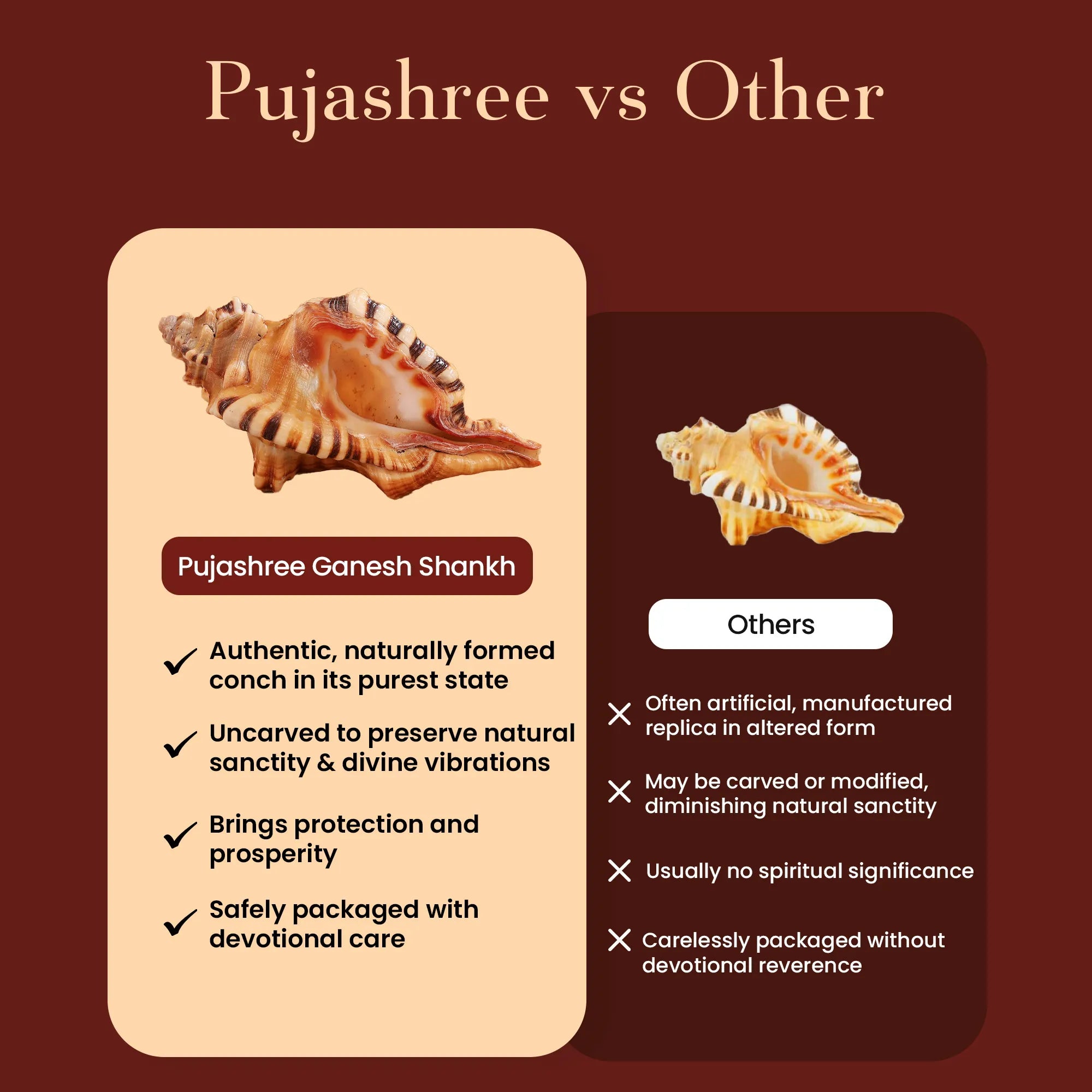 Ganesh Shankh – The Auspicious Symbol of New Beginnings by Pujashree | Sanatana Journey