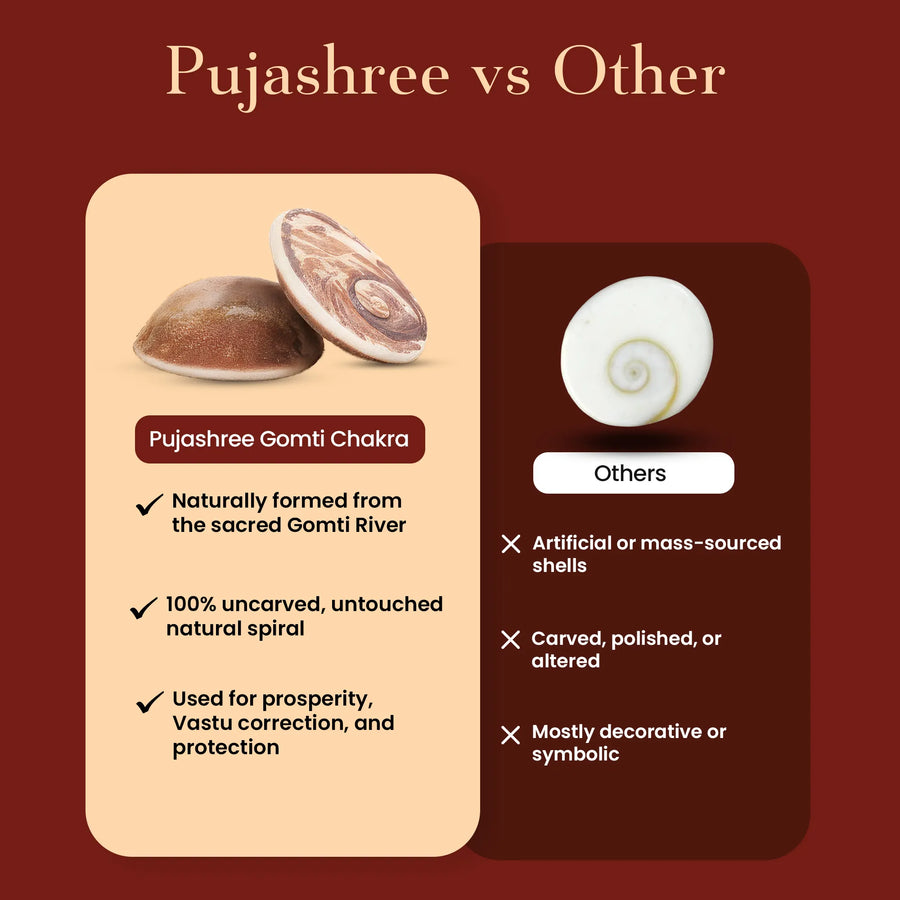 Gomti Chakra 2 pcs by Pujashree | Sanatana Journey