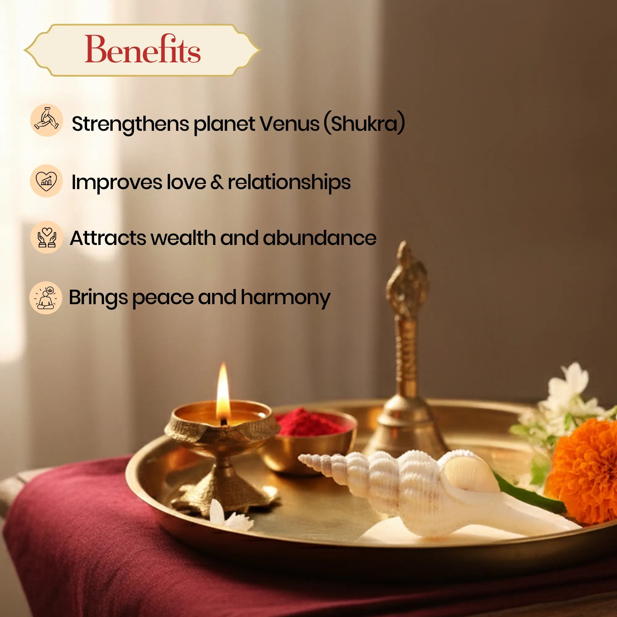 Shukra Shankh – Harmony, Luxury, and Prosperity by Pujashree | Sanatana Journey