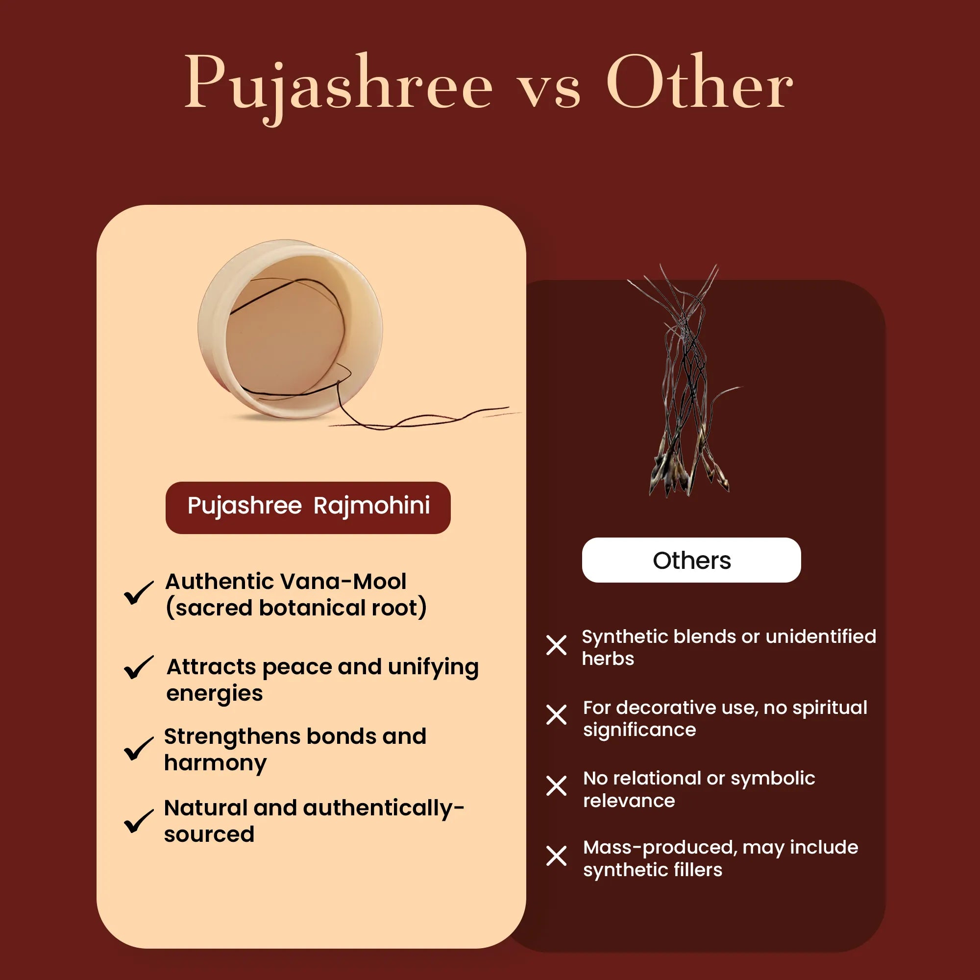 Rajmohini – Warns against negative Situations in Life | Breaks to Warn Against by Pujashree | Sanatana Journey