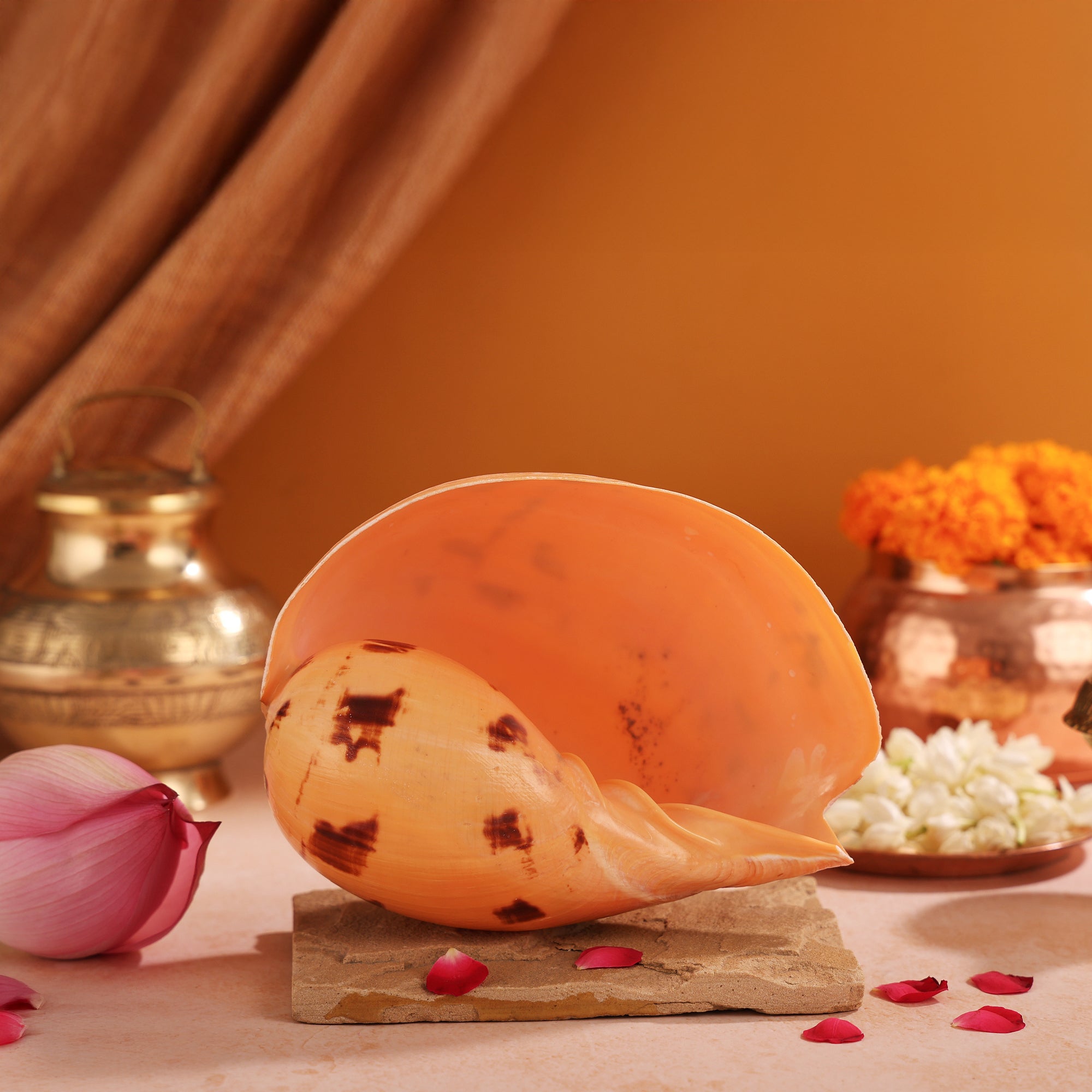 Kuber Shankh by Pujashree | Sanatana Journey