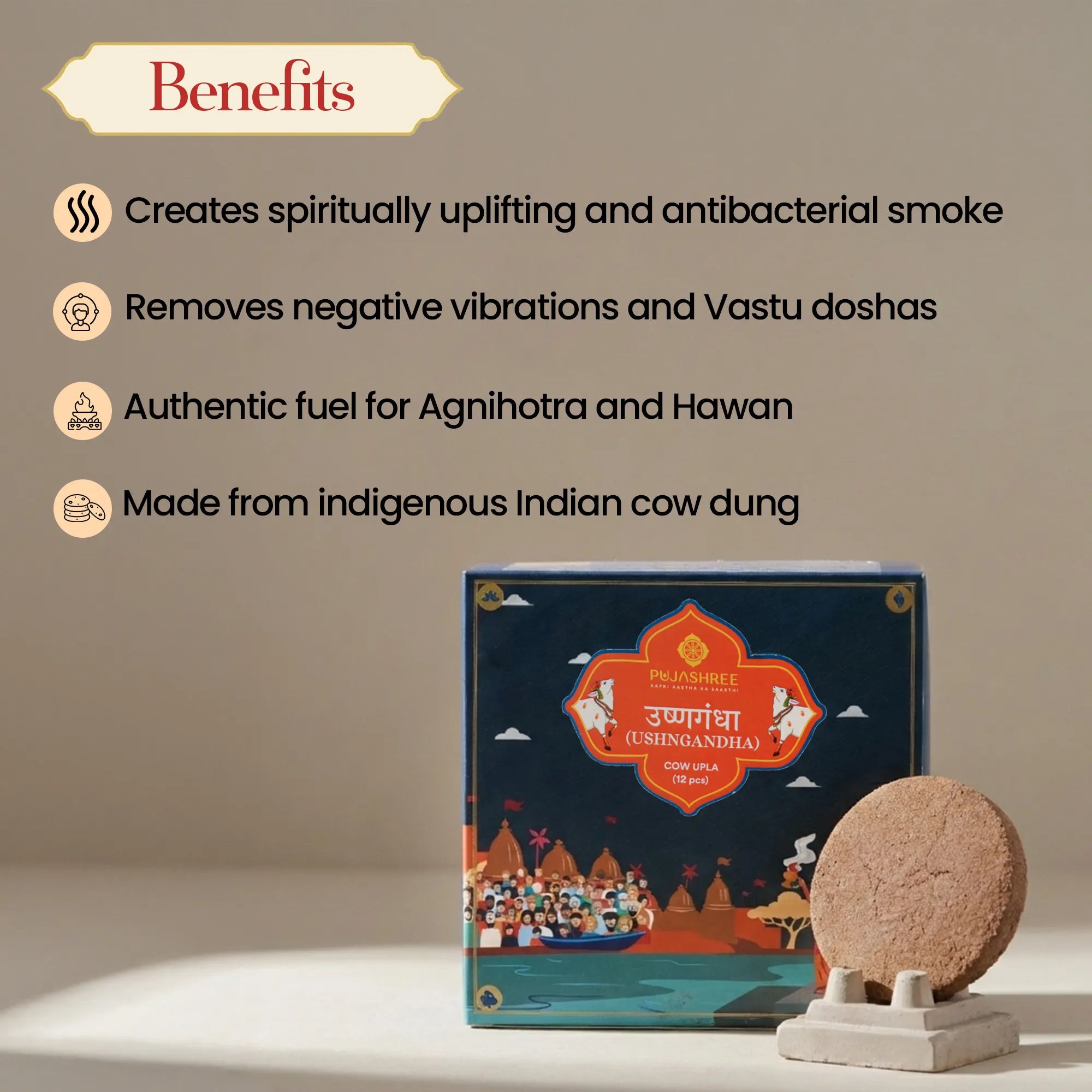 Cow Upla - 12Pcs