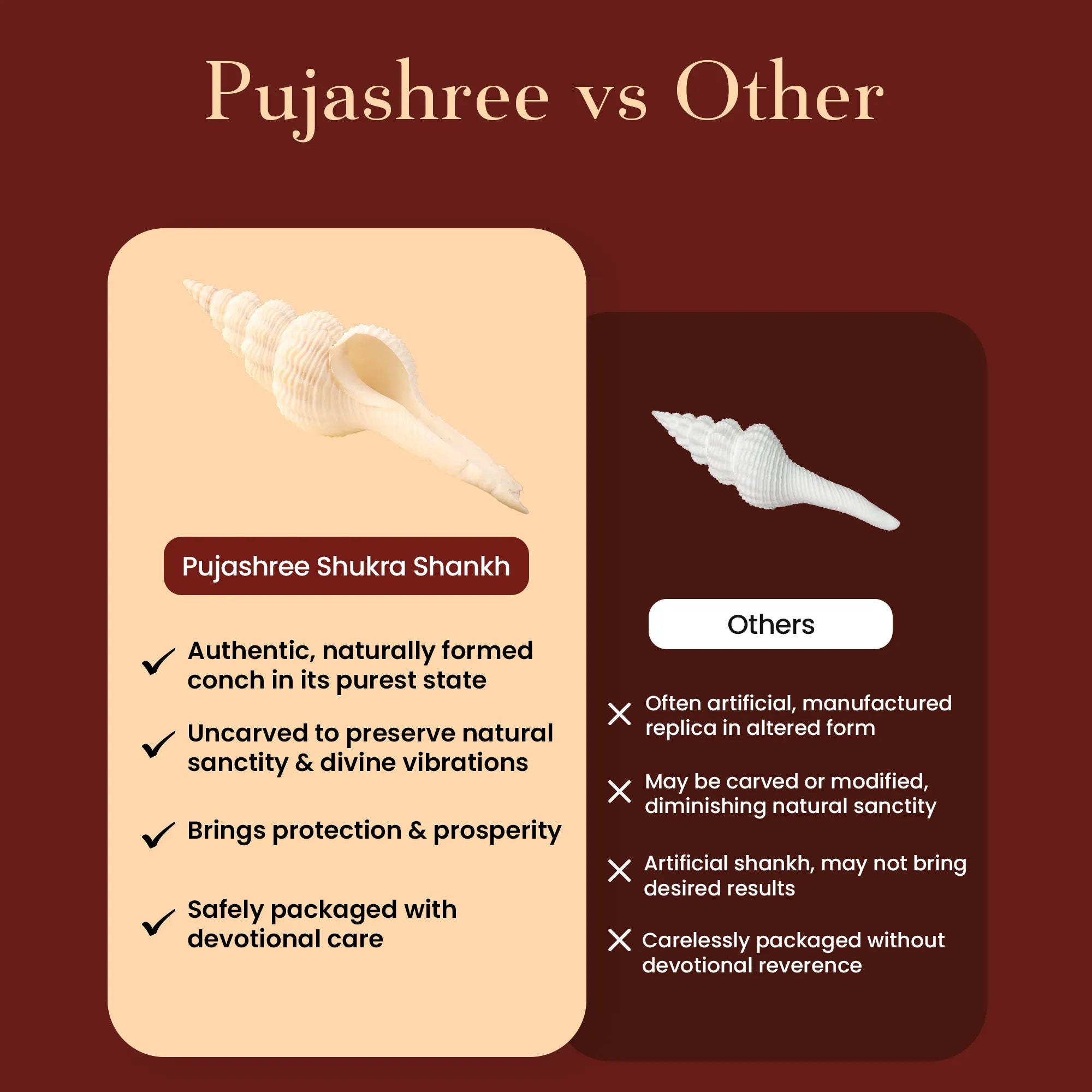 Shukra Shankh – Harmony, Luxury, and Prosperity by Pujashree | Sanatana Journey