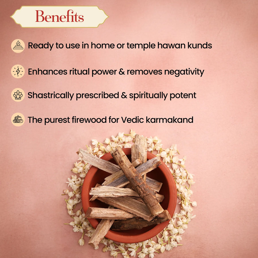 Hawan Samidha – Mango Tree Sticks for Puja by Pujashree | Sanatana Journey