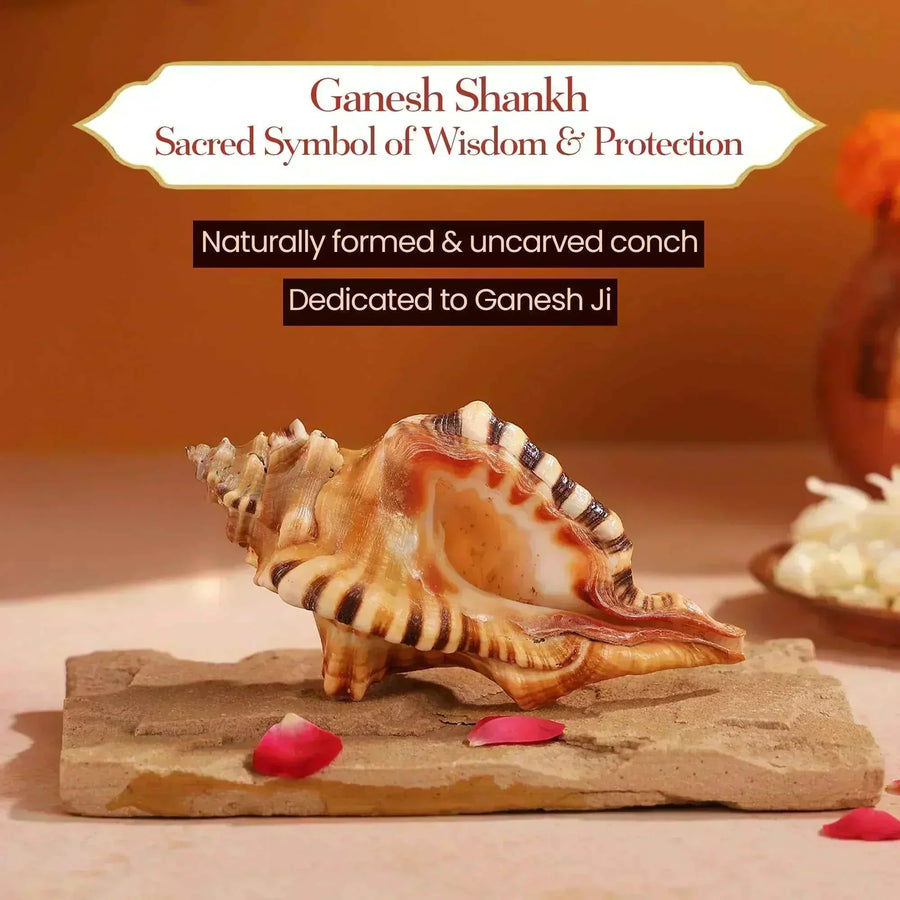 Ganesh Shankh – The Auspicious Symbol of New Beginnings by Pujashree | Sanatana Journey