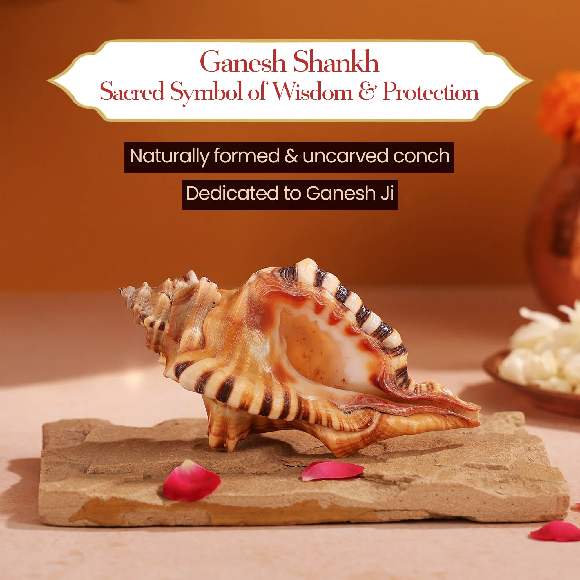 Ganesh Shankh – The Auspicious Symbol of New Beginnings by Pujashree | Sanatana Journey