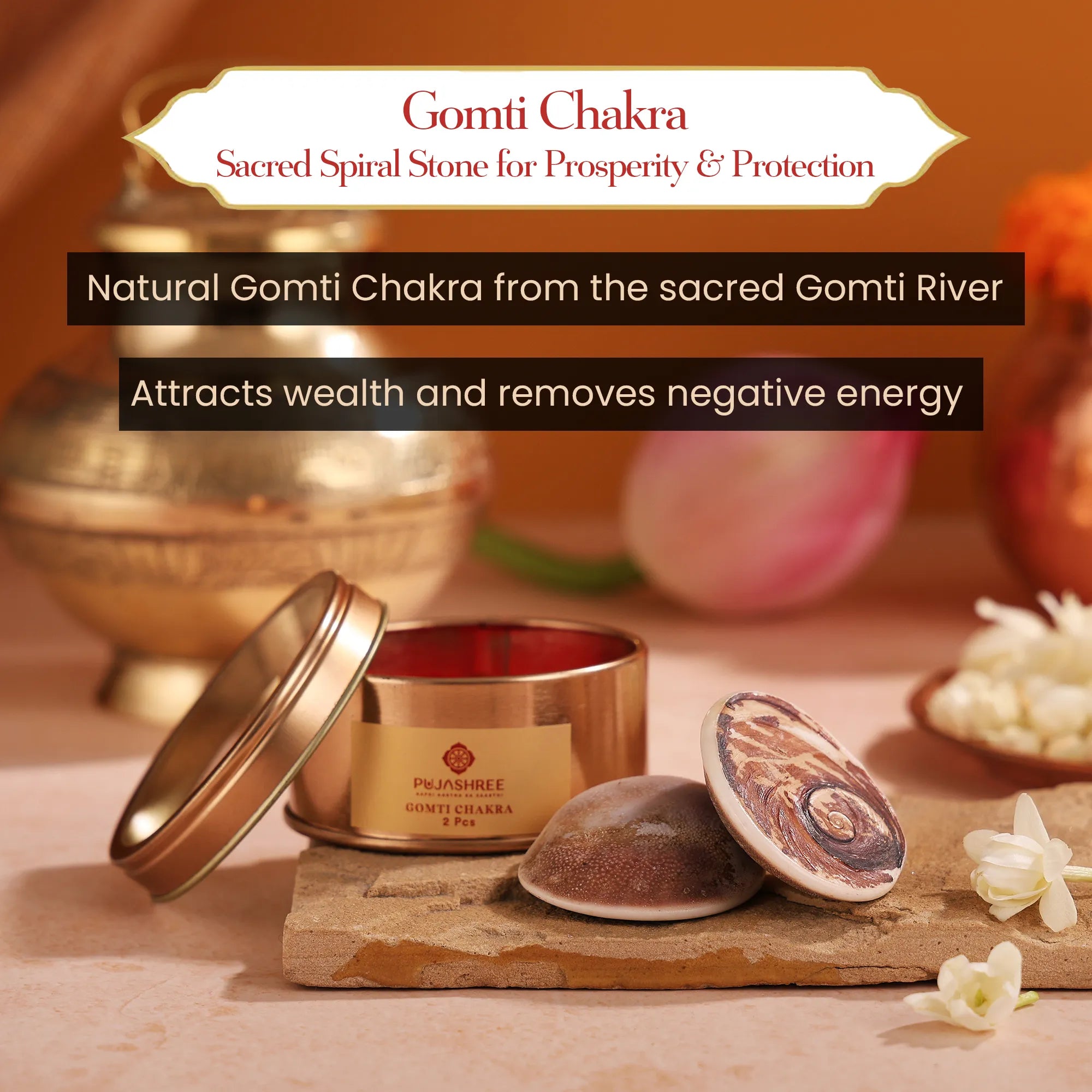 Gomti Chakra 2 Pcs | Symbol of Maa Laxmi | Invokes the Divine Grace & Blessings