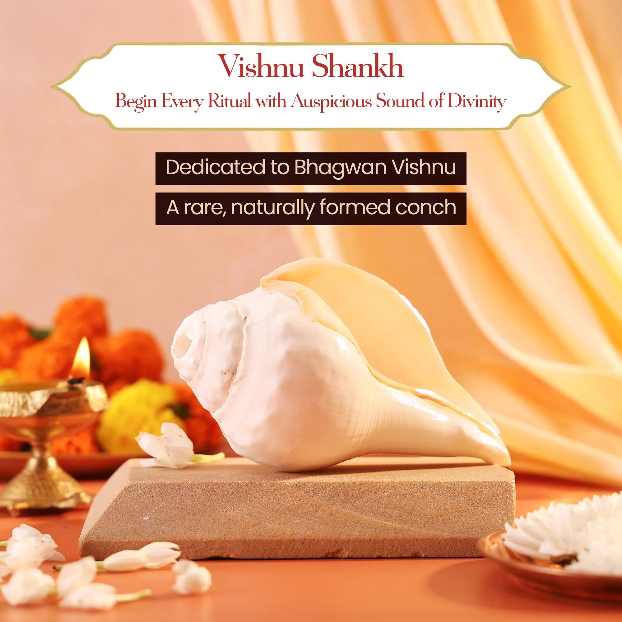 Blowing Vishnu Shankh (Medium) – The Sacred Call of Devotion