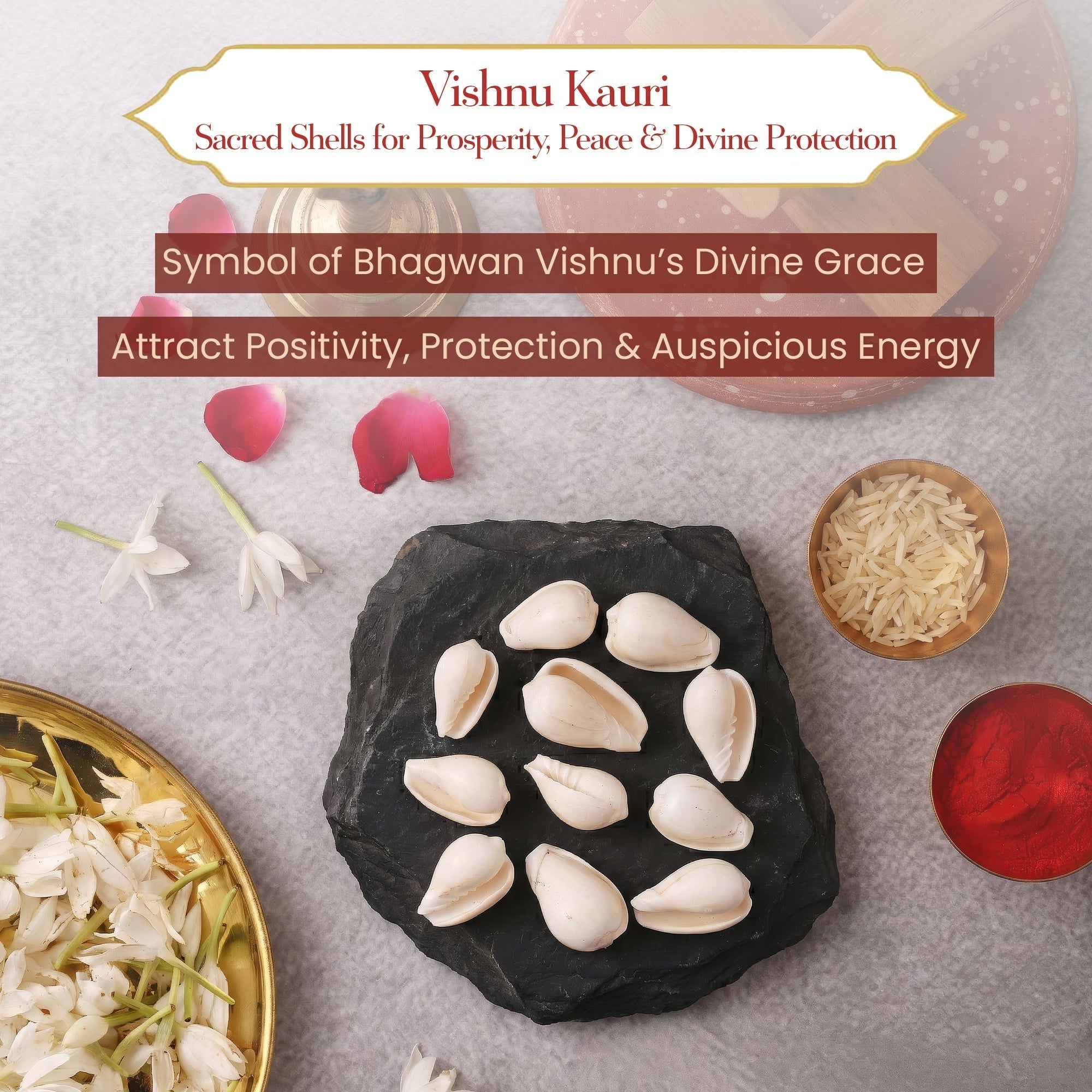 Vishnu Kauri 11 pcs | Symbol of Abundance & Divine Protection by Pujashree | Sanatana Journey
