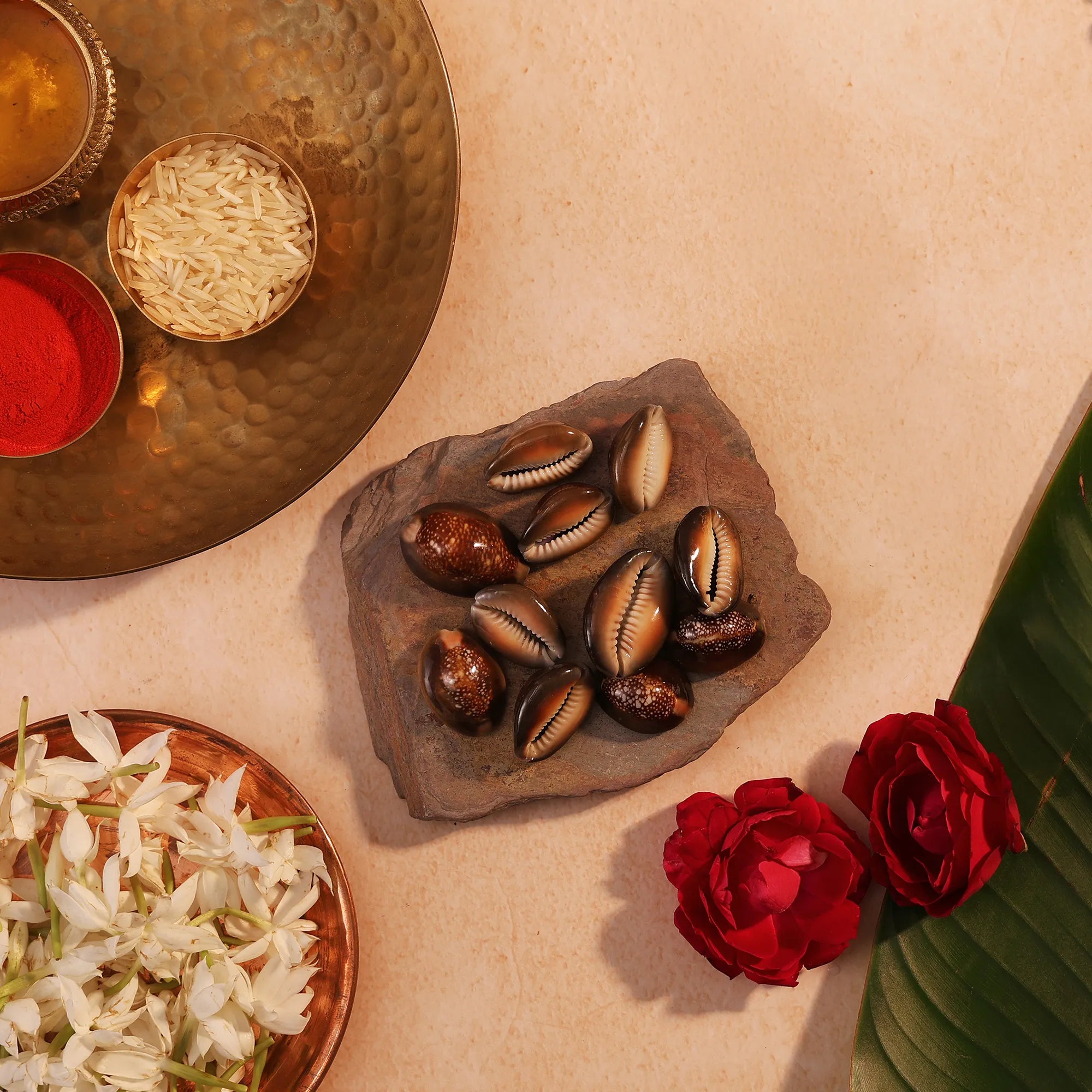 Lal Kauri (11 pcs) – Red Kauri Shells for Lakshmi Puja, Wealth and Healing by Pujashree | Sanatana Journey