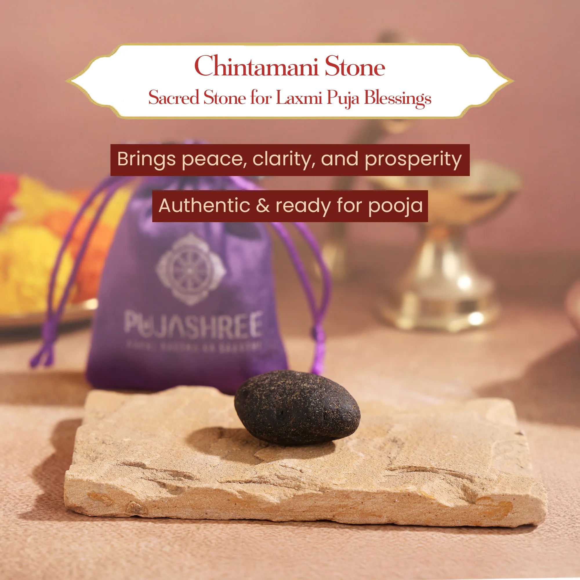 Chintamani Stone 1 PC | Heals Stress & Anxiety by Pujashree | Sanatana Journey