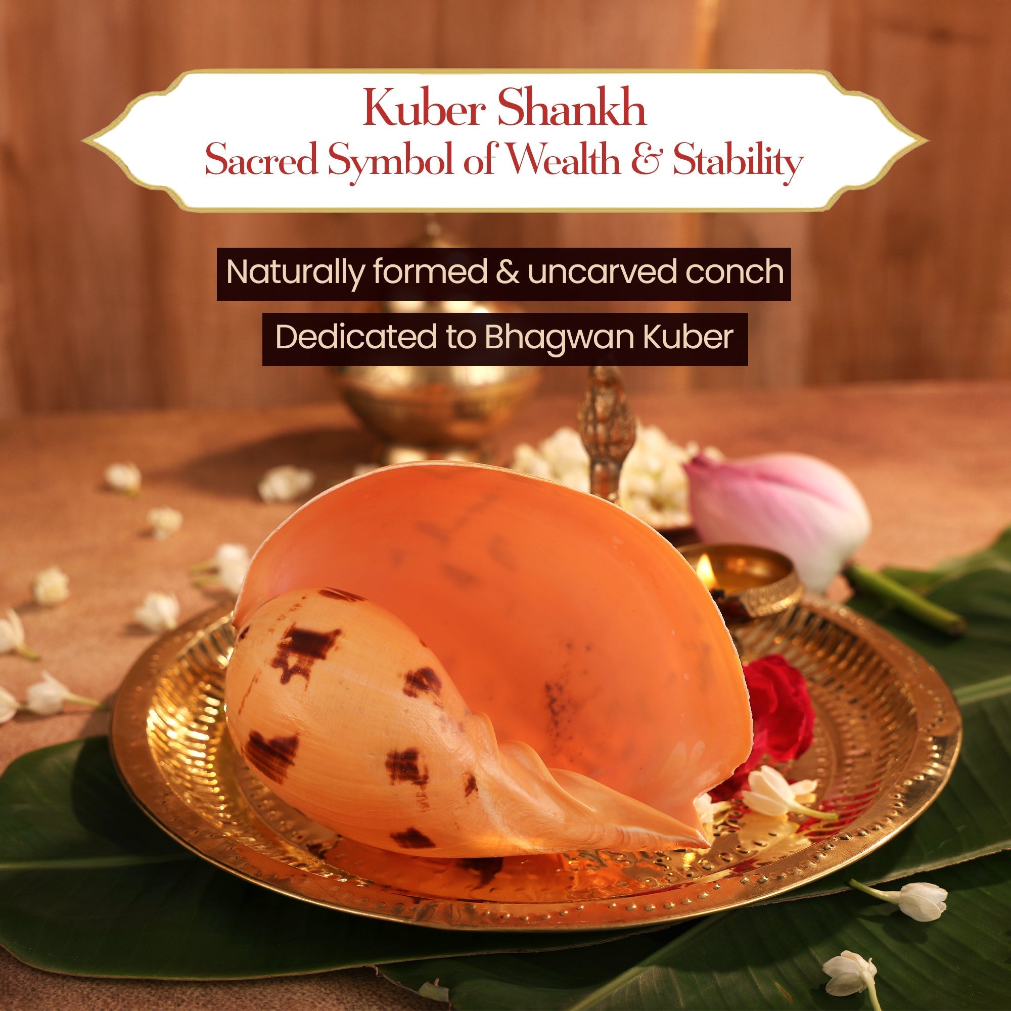 Kuber Shankh by Pujashree | Sanatana Journey