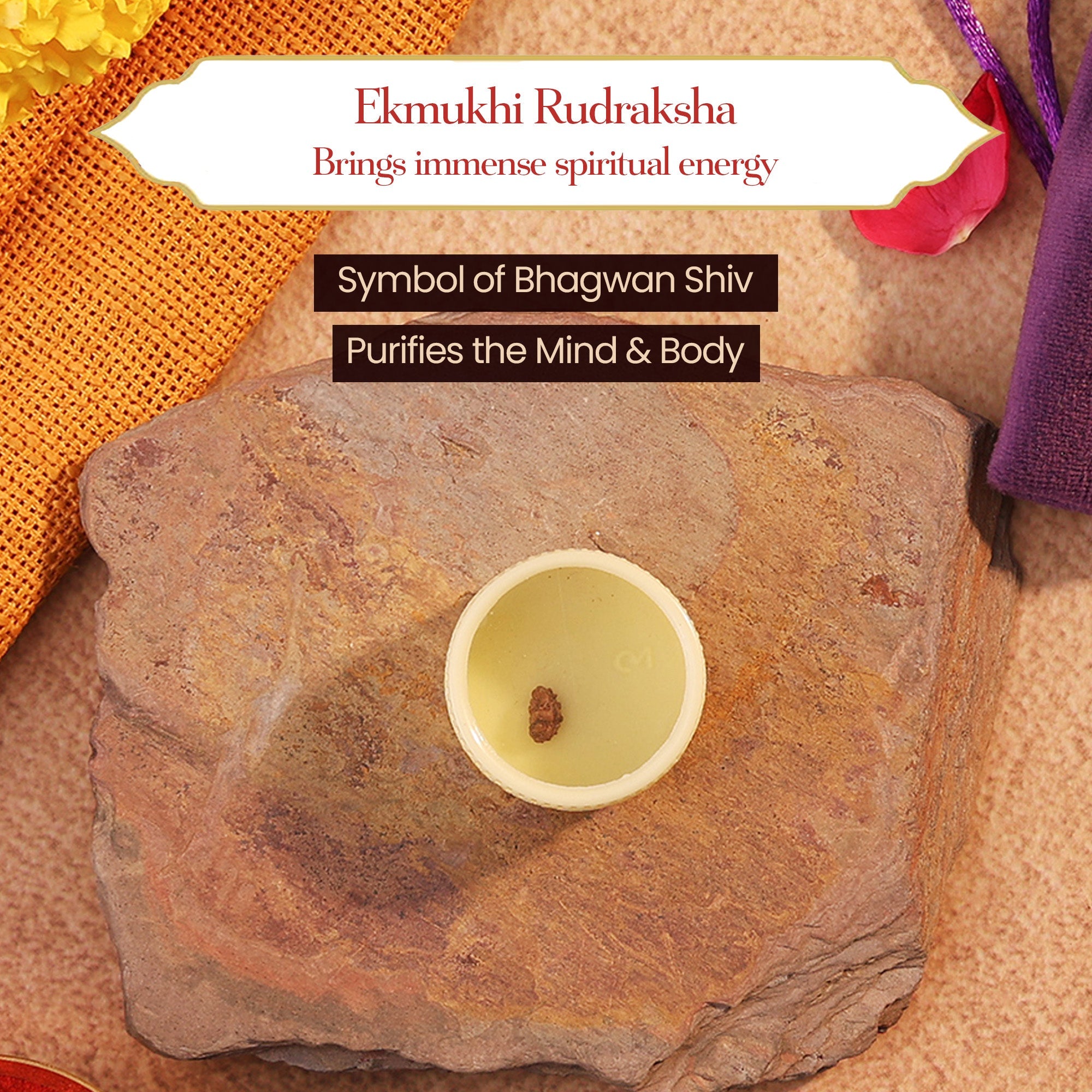 Ek Mukhi Rudraksha – Symbol of Shiva’s Divine Power by Pujashree | Sanatana Journey