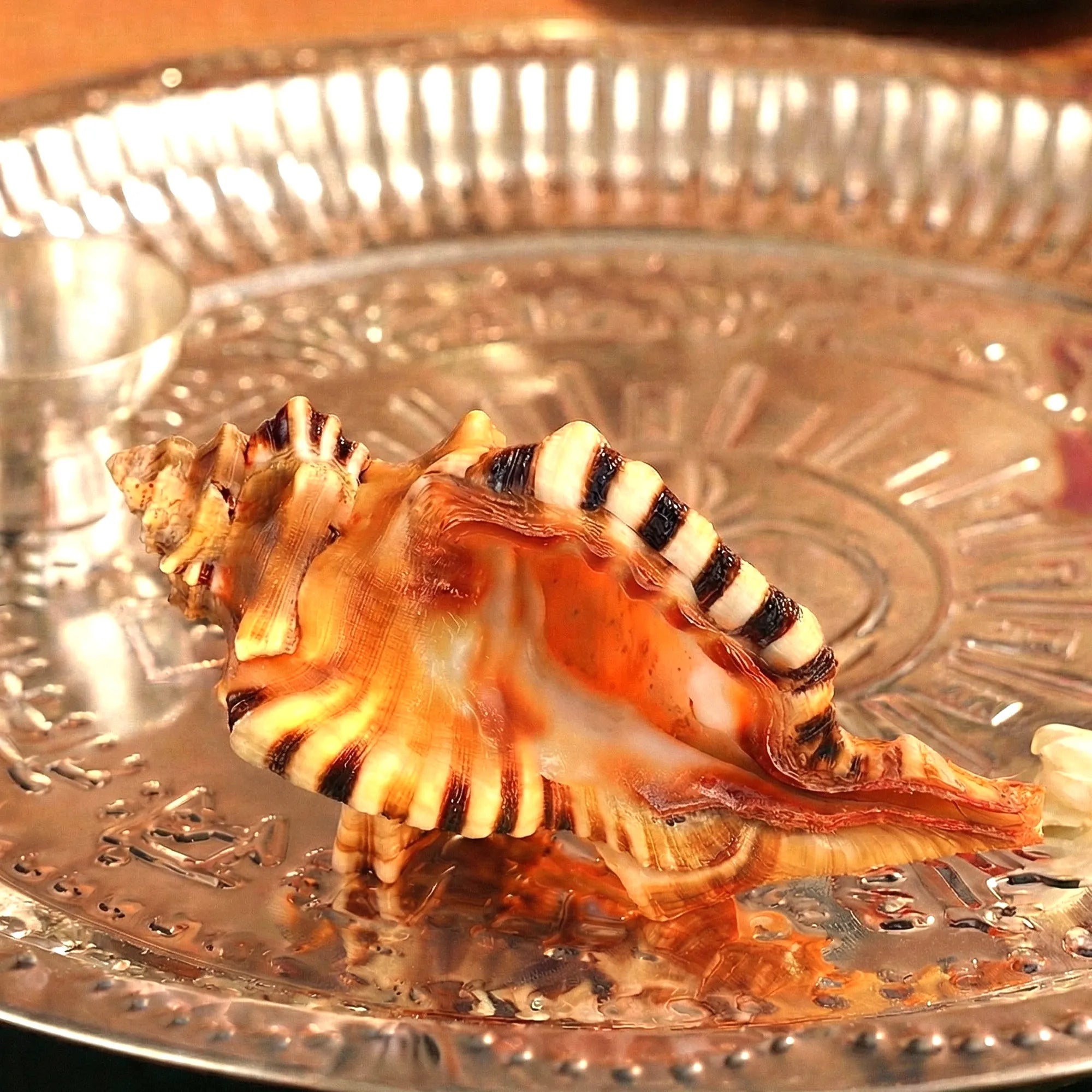 Ganesh Shankh – The Auspicious Symbol of New Beginnings by Pujashree | Sanatana Journey