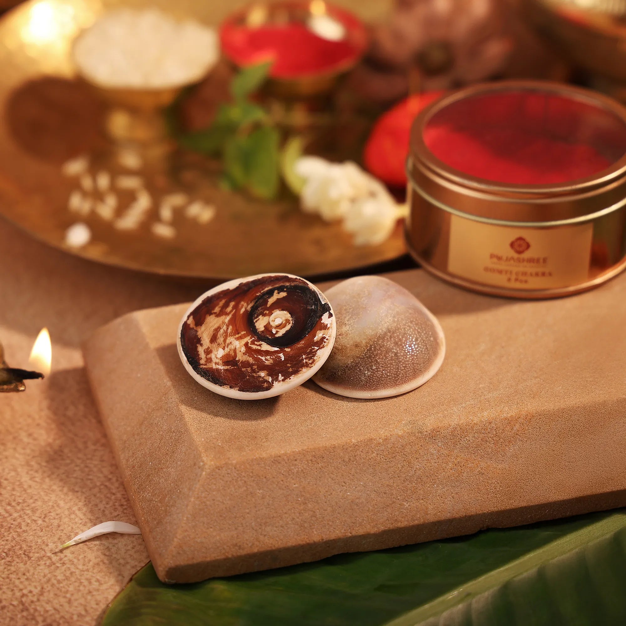 Gomti Chakra 2 Pcs | Symbol of Maa Laxmi | Invokes the Divine Grace & Blessings
