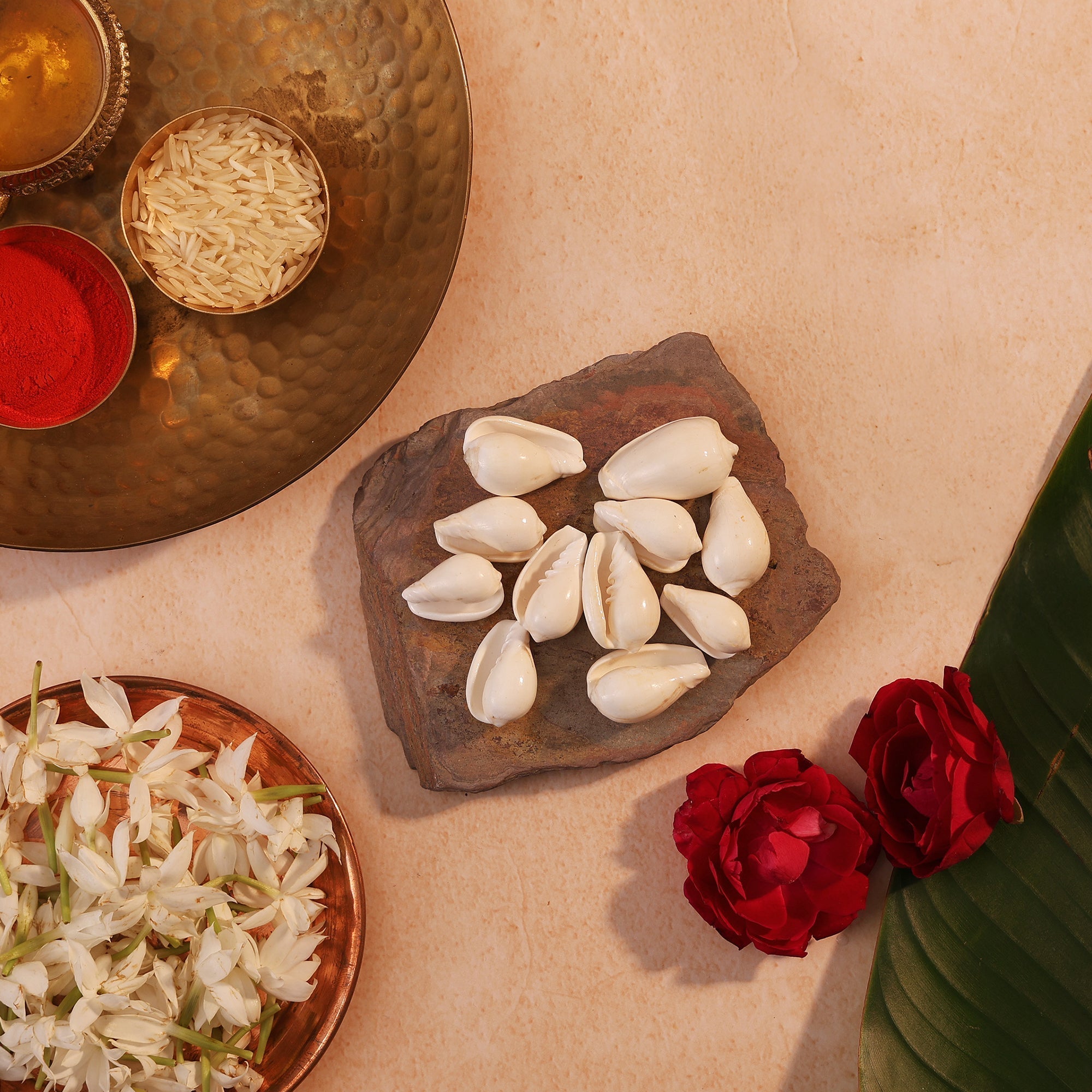 Kauri 11 pcs by Pujashree | Sanatana Journey