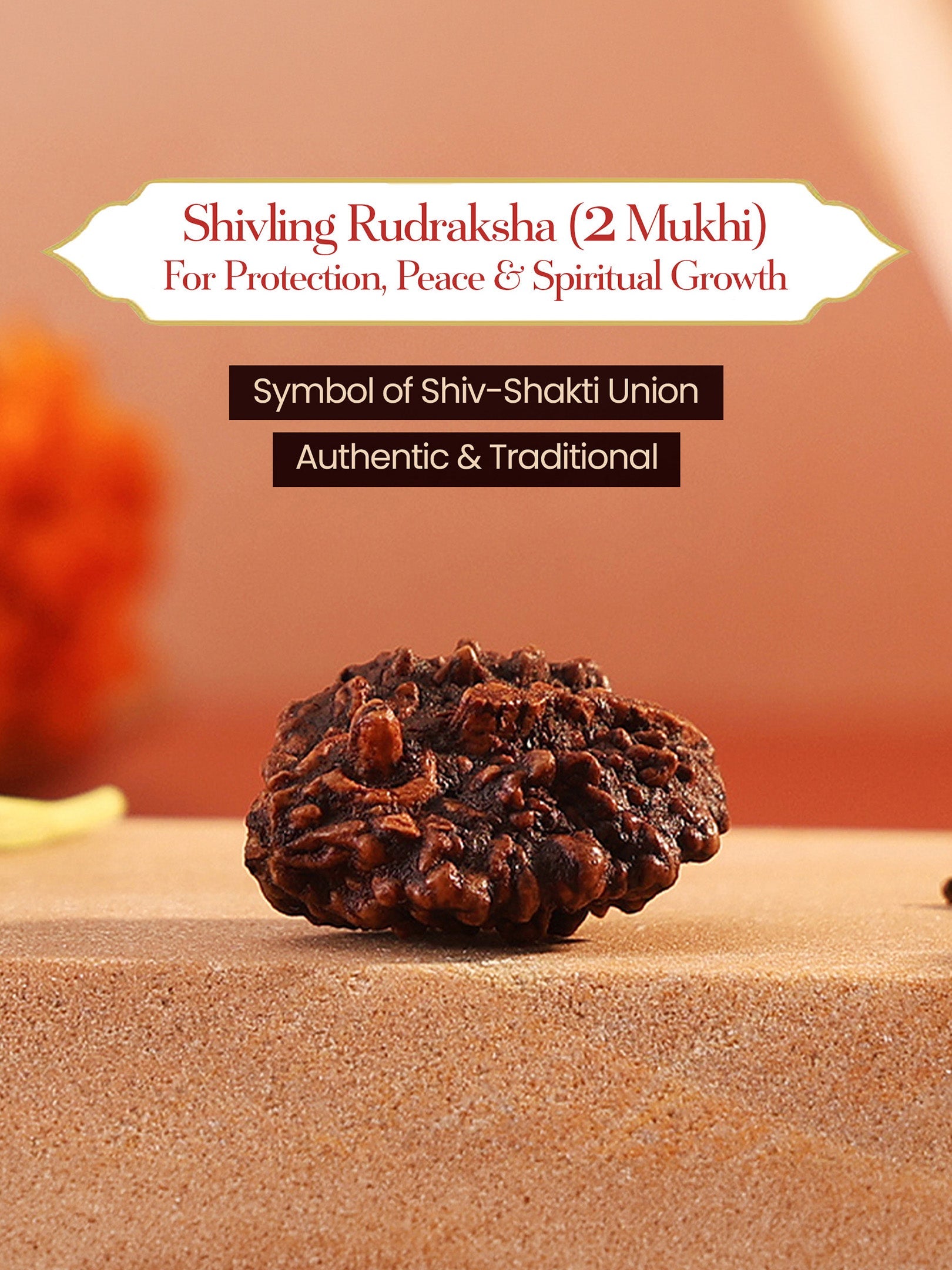 2 Mukhi Shivling Rudraksha for Protection, Peace & Spiritual Growth by Pujashree | Sanatana Journey