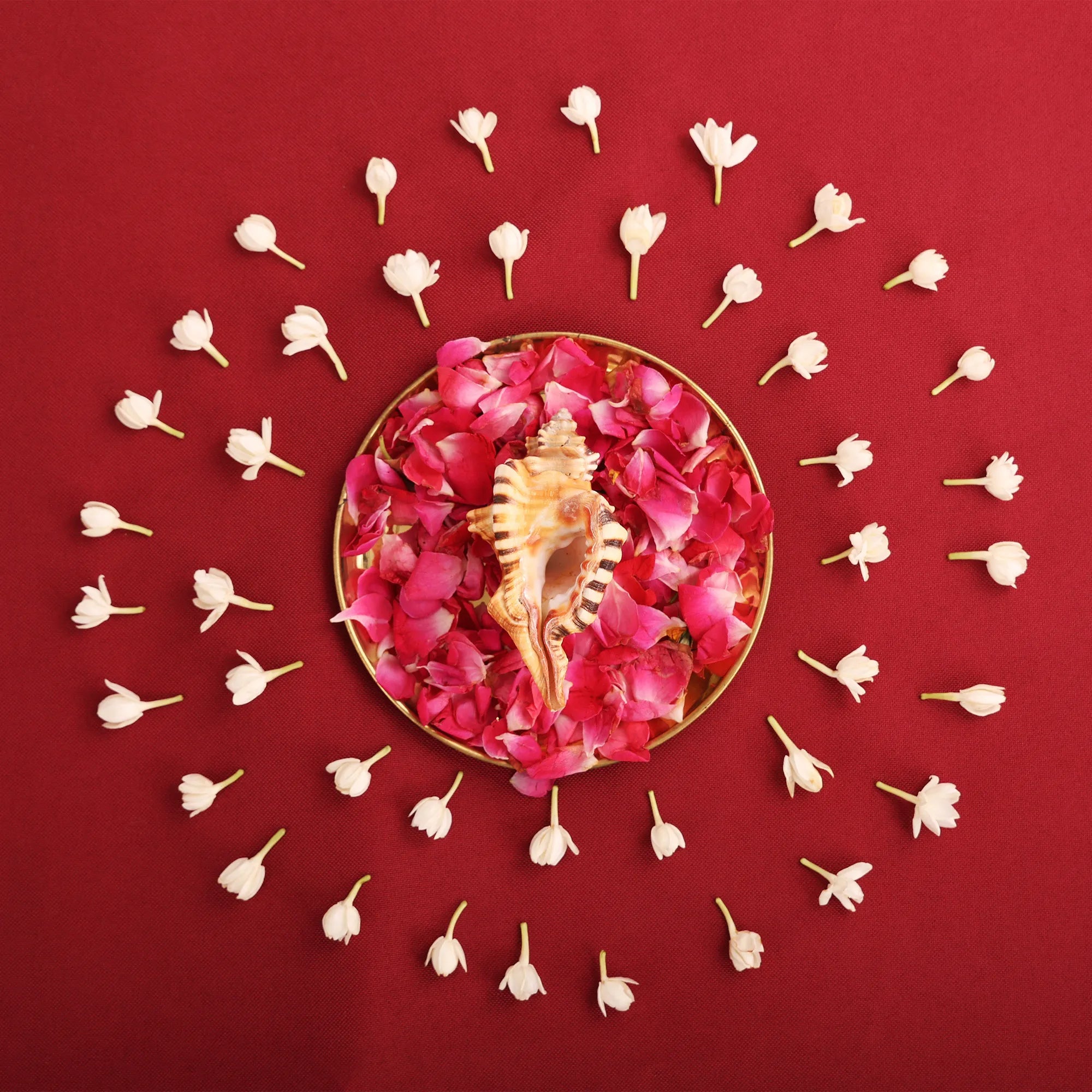 Ganesh Shankh – The Auspicious Symbol of New Beginnings by Pujashree | Sanatana Journey