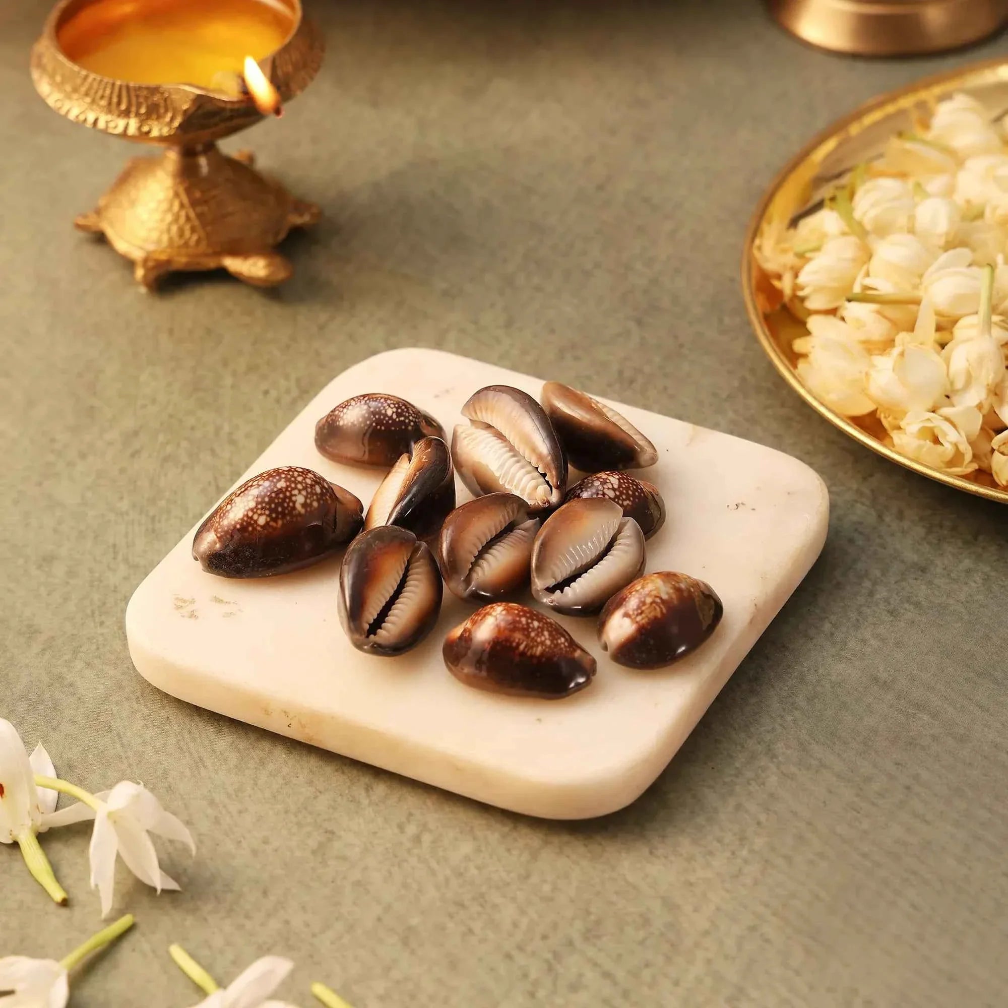 Lal Kauri (11 pcs) – Red Kauri Shells for Lakshmi Puja, Wealth and Healing by Pujashree | Sanatana Journey