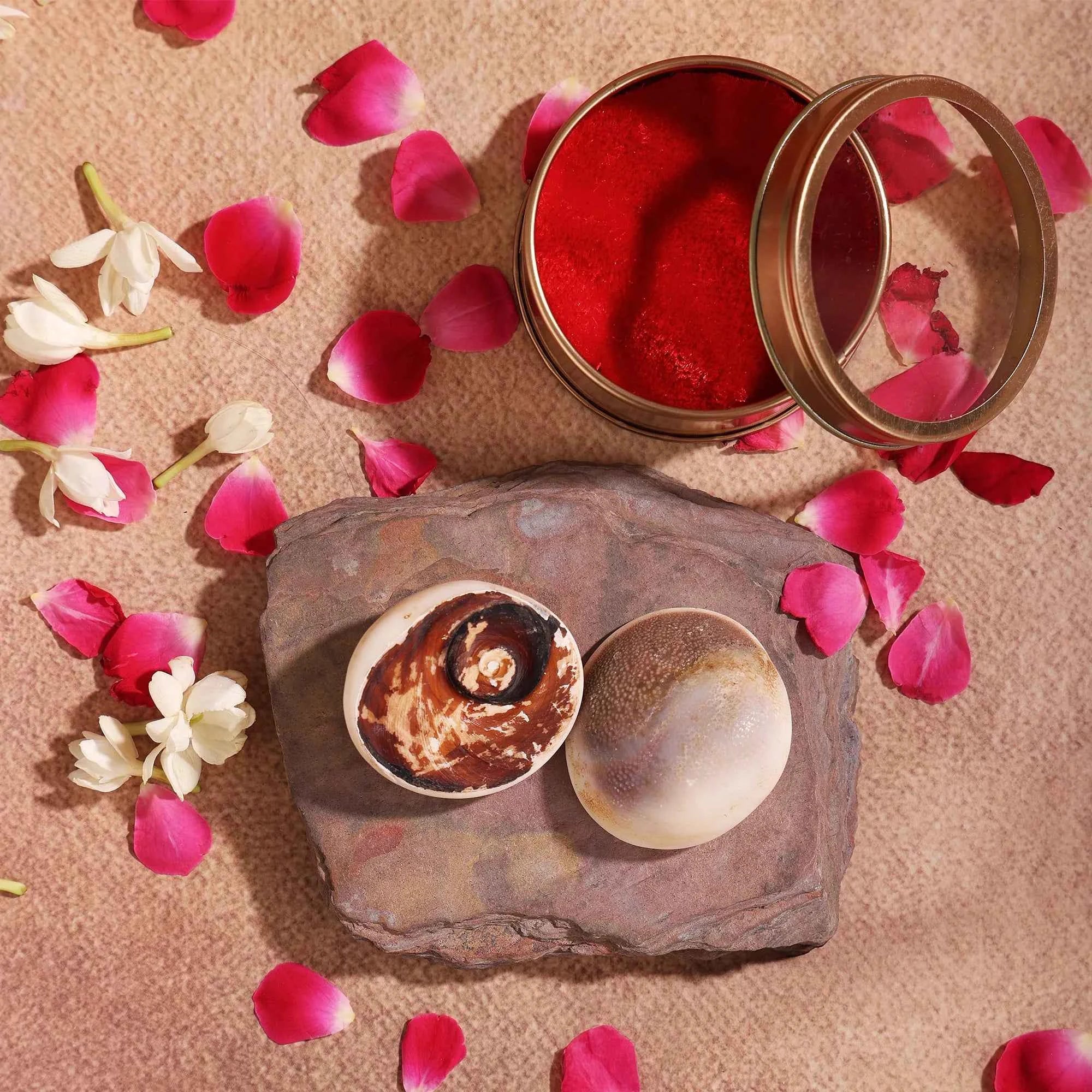 Gomti Chakra 2 Pcs | Symbol of Maa Laxmi | Invokes the Divine Grace & Blessings