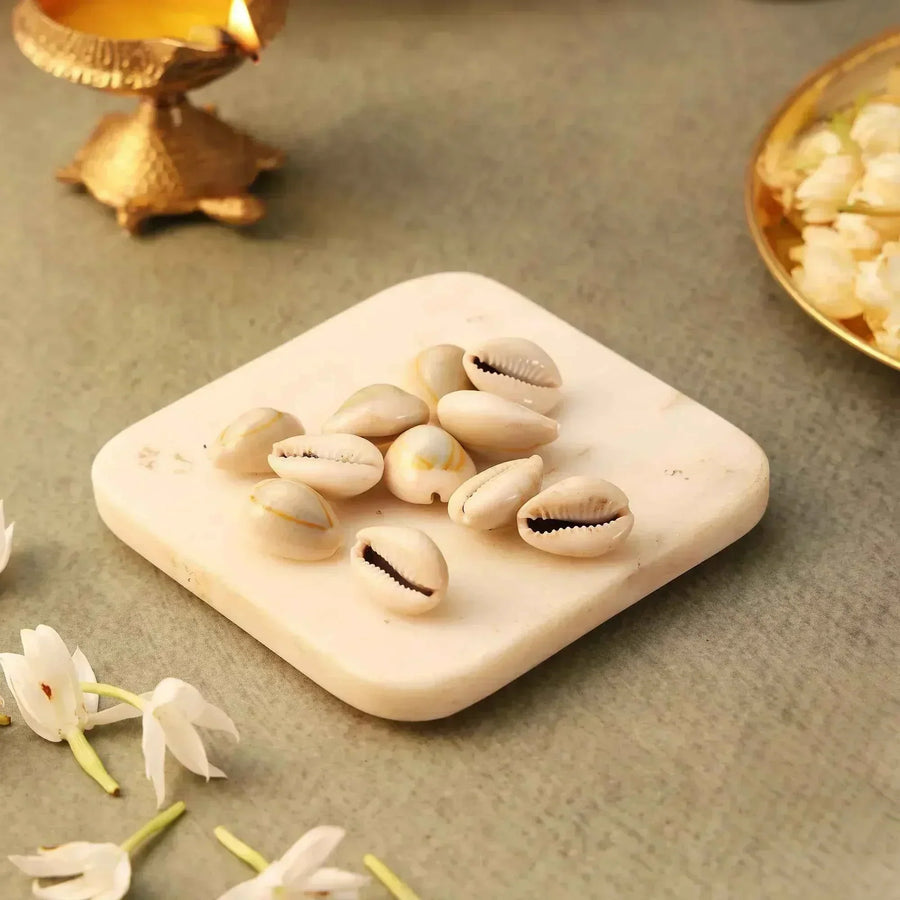 Kauri 11 pcs by Pujashree | Sanatana Journey