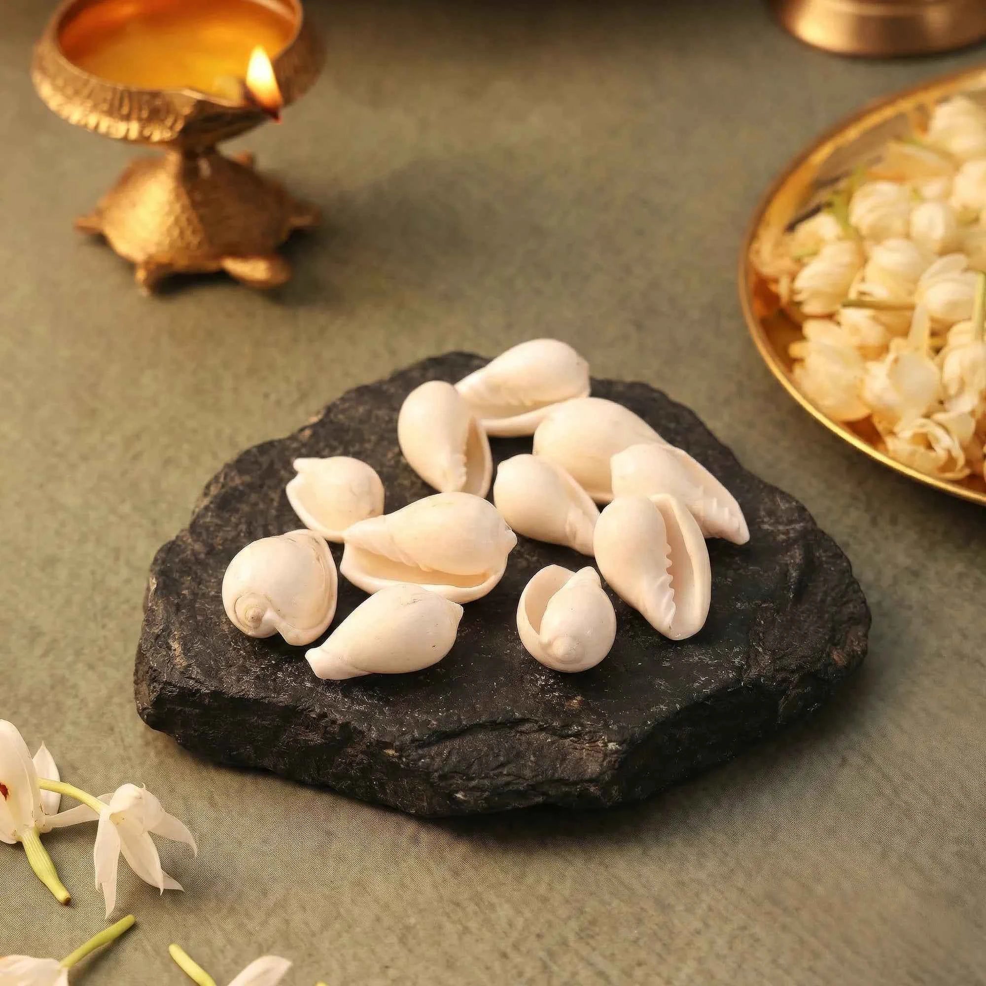 Vishnu Kauri 11 pcs | Symbol of Abundance & Divine Protection by Pujashree | Sanatana Journey