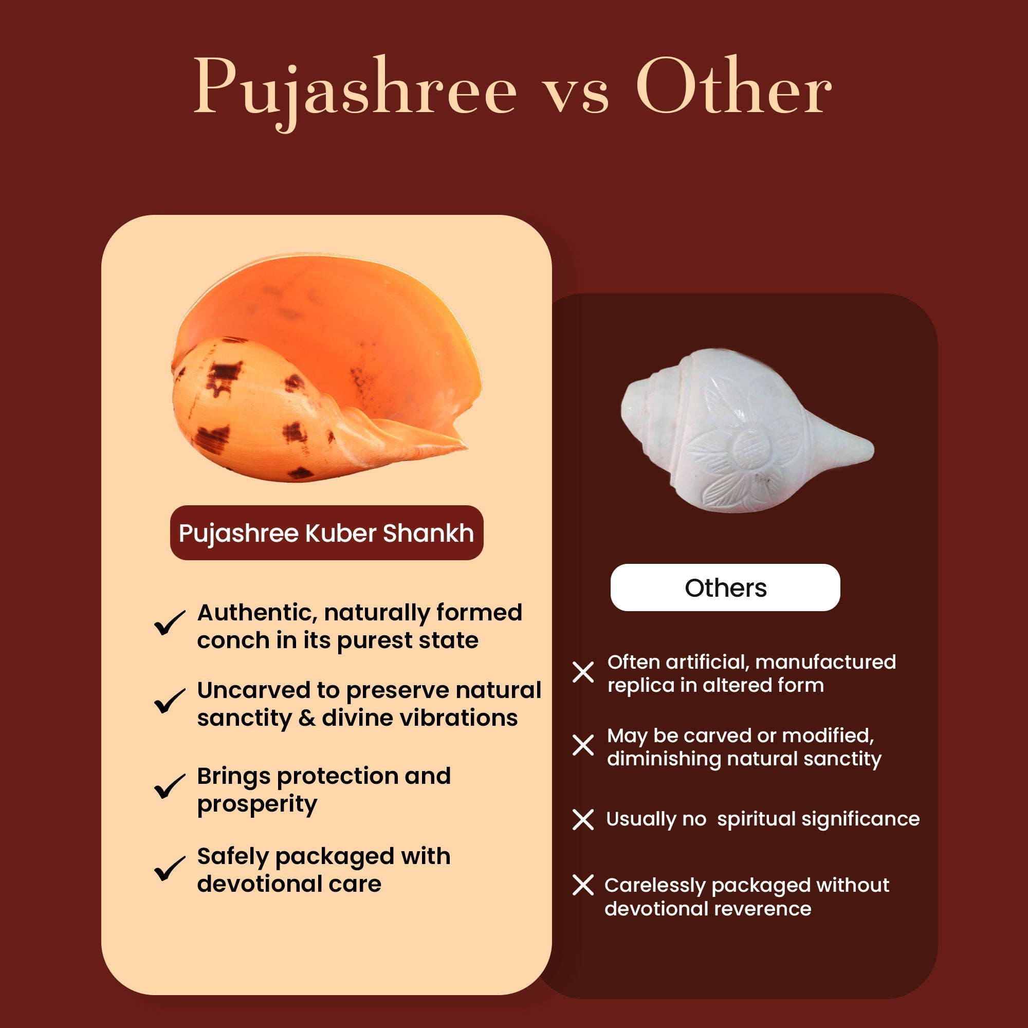 Kuber Shankh by Pujashree | Sanatana Journey
