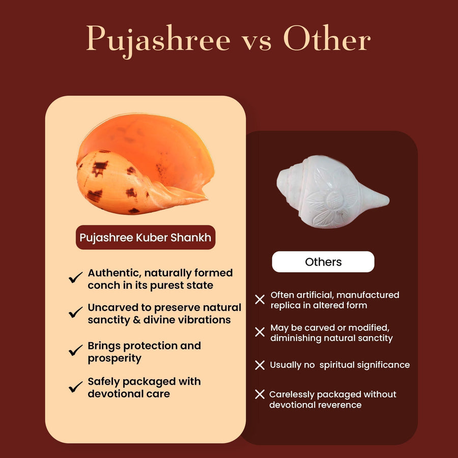 Kuber Shankh by Pujashree | Sanatana Journey