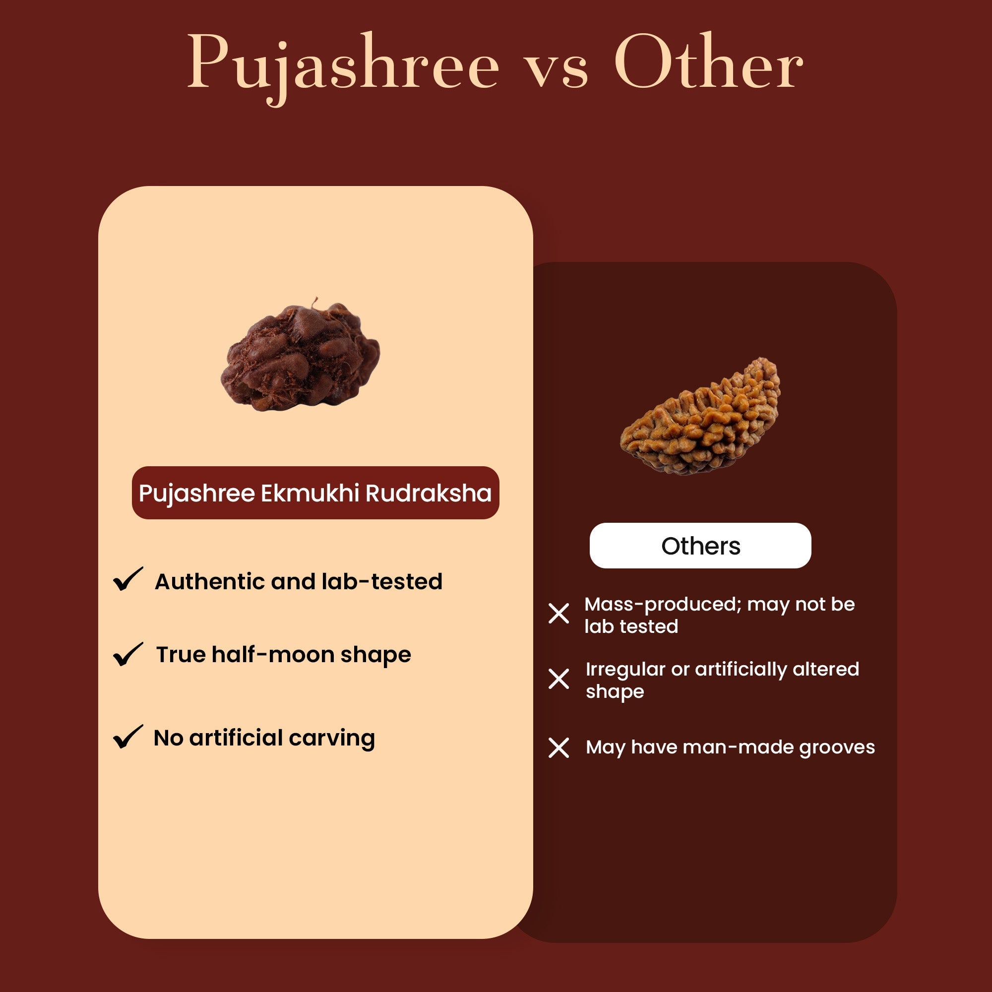 Ek Mukhi Rudraksha – Symbol of Shiva’s Divine Power by Pujashree | Sanatana Journey