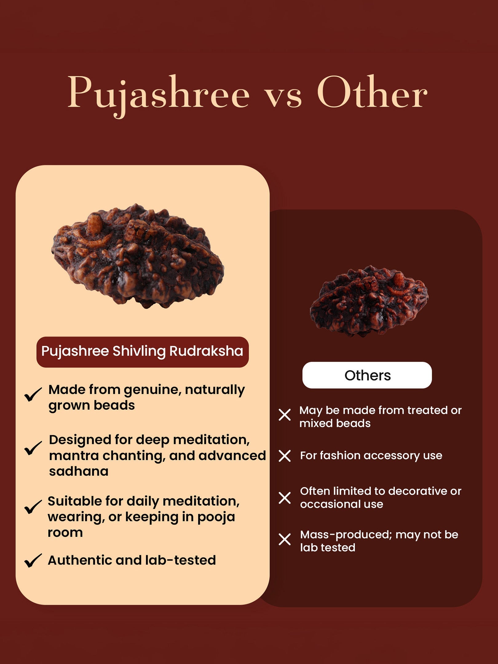 2 Mukhi Shivling Rudraksha for Protection, Peace & Spiritual Growth by Pujashree | Sanatana Journey