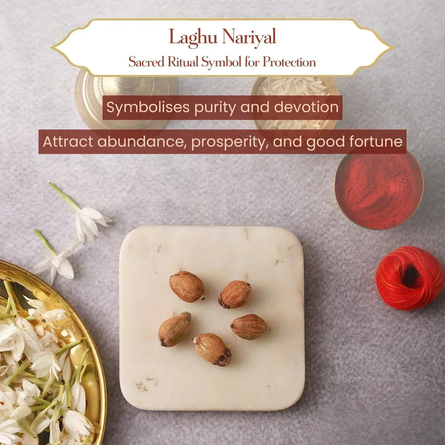 Laghu Nariyal (11 pcs) – Symbol of Purity & Prosperity by Pujashree | Sanatana Journey