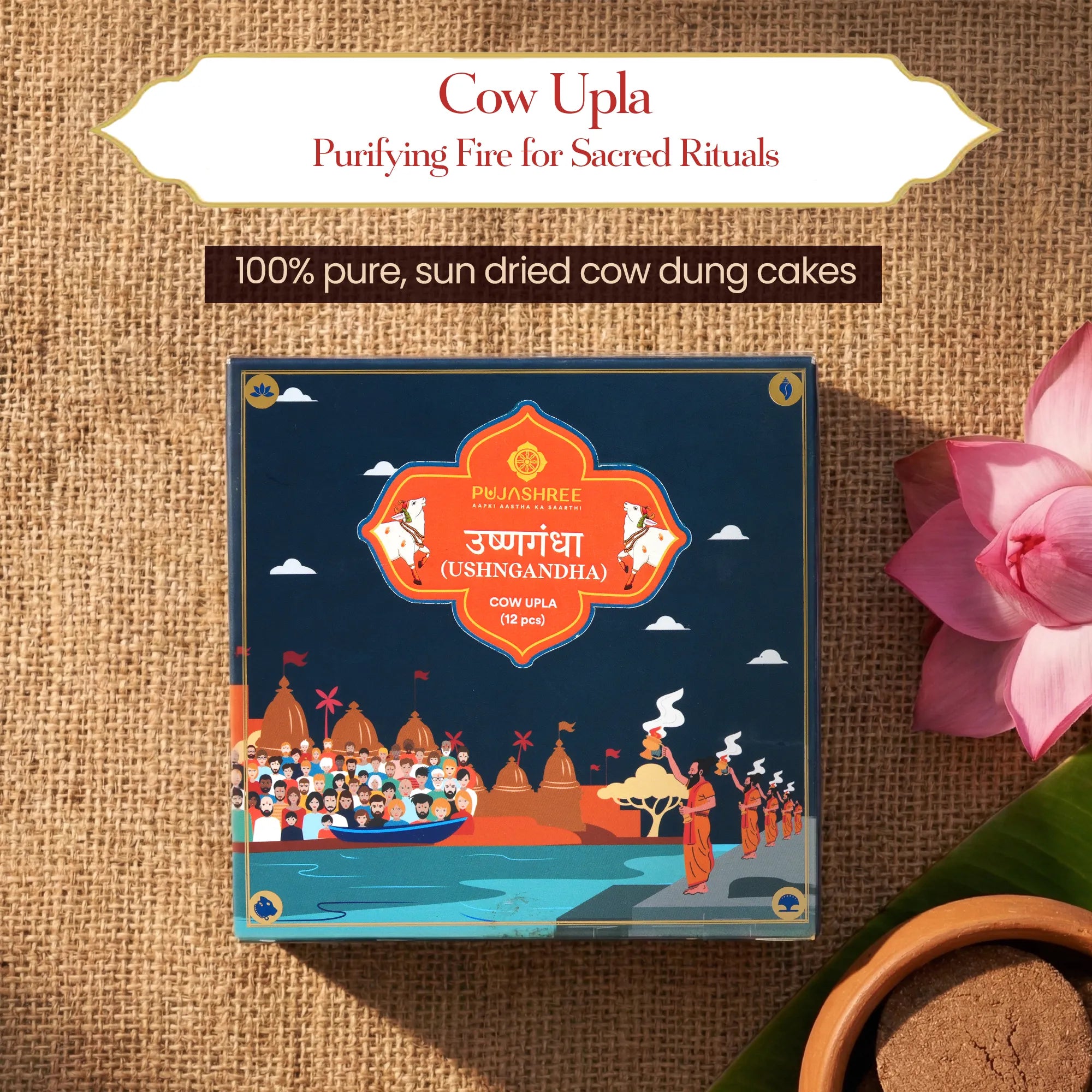 Cow Upla - 12Pcs