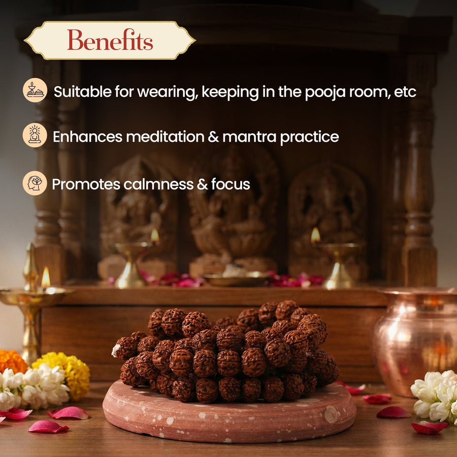 Panchmukhi Rudraksha Mala Medium (13 MM) by Pujashree | Sanatana Journey