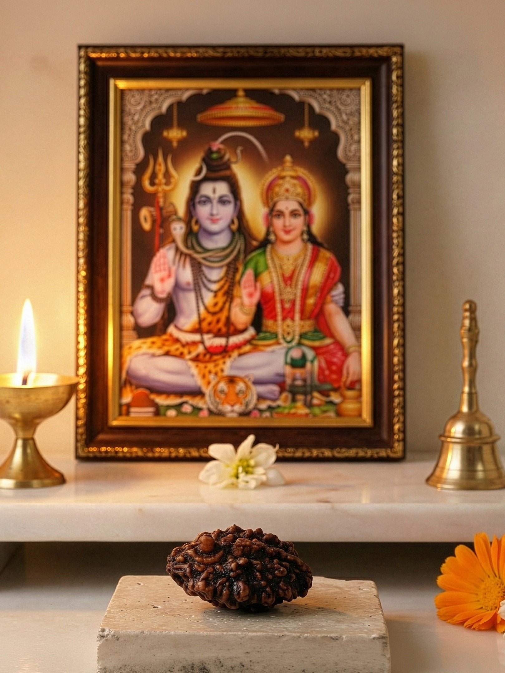 2 Mukhi Shivling Rudraksha for Protection, Peace & Spiritual Growth by Pujashree | Sanatana Journey